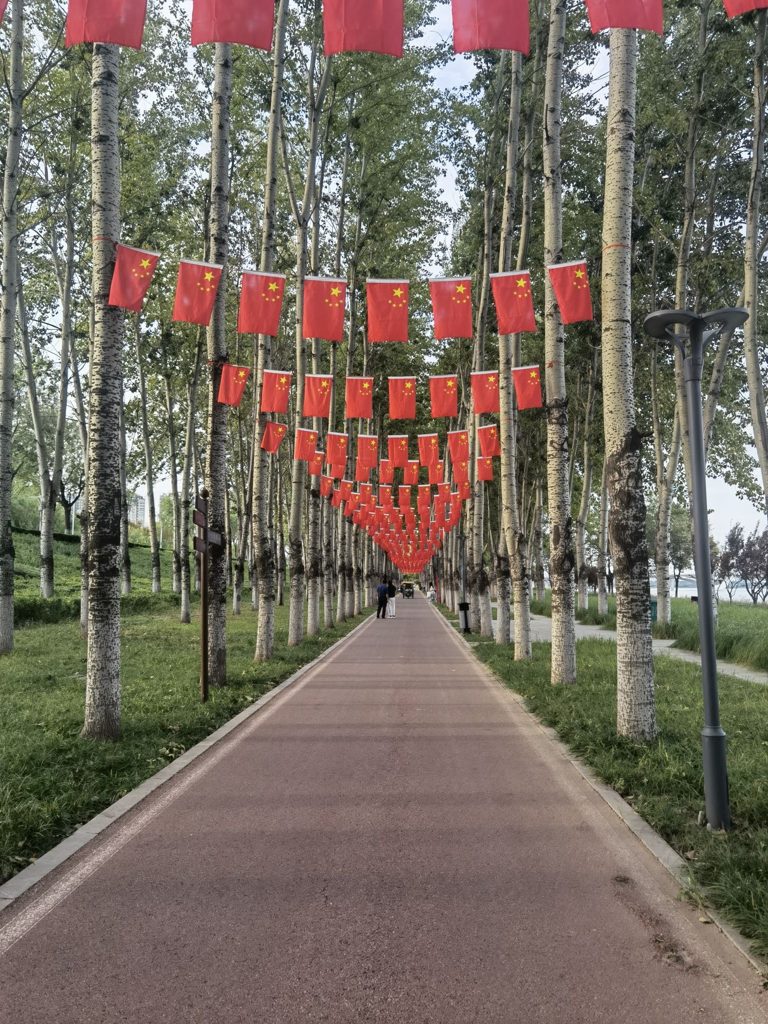 明秀林旅行图片 1