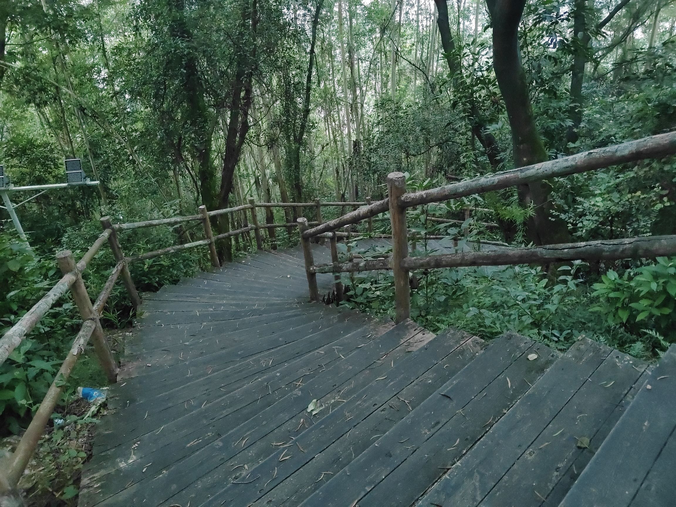 聚牛山公园旅行图片 2