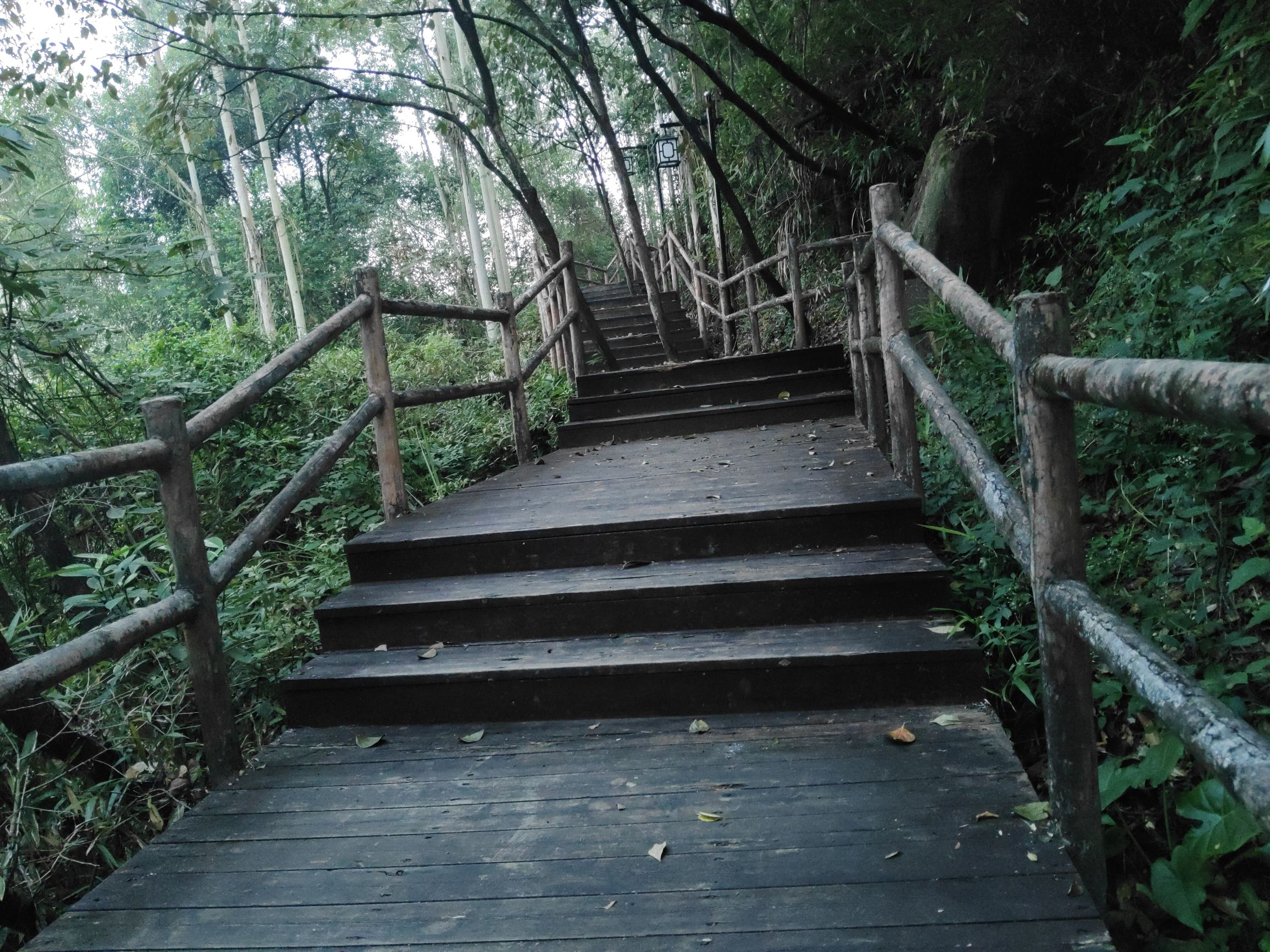 聚牛山公园旅行图片 1