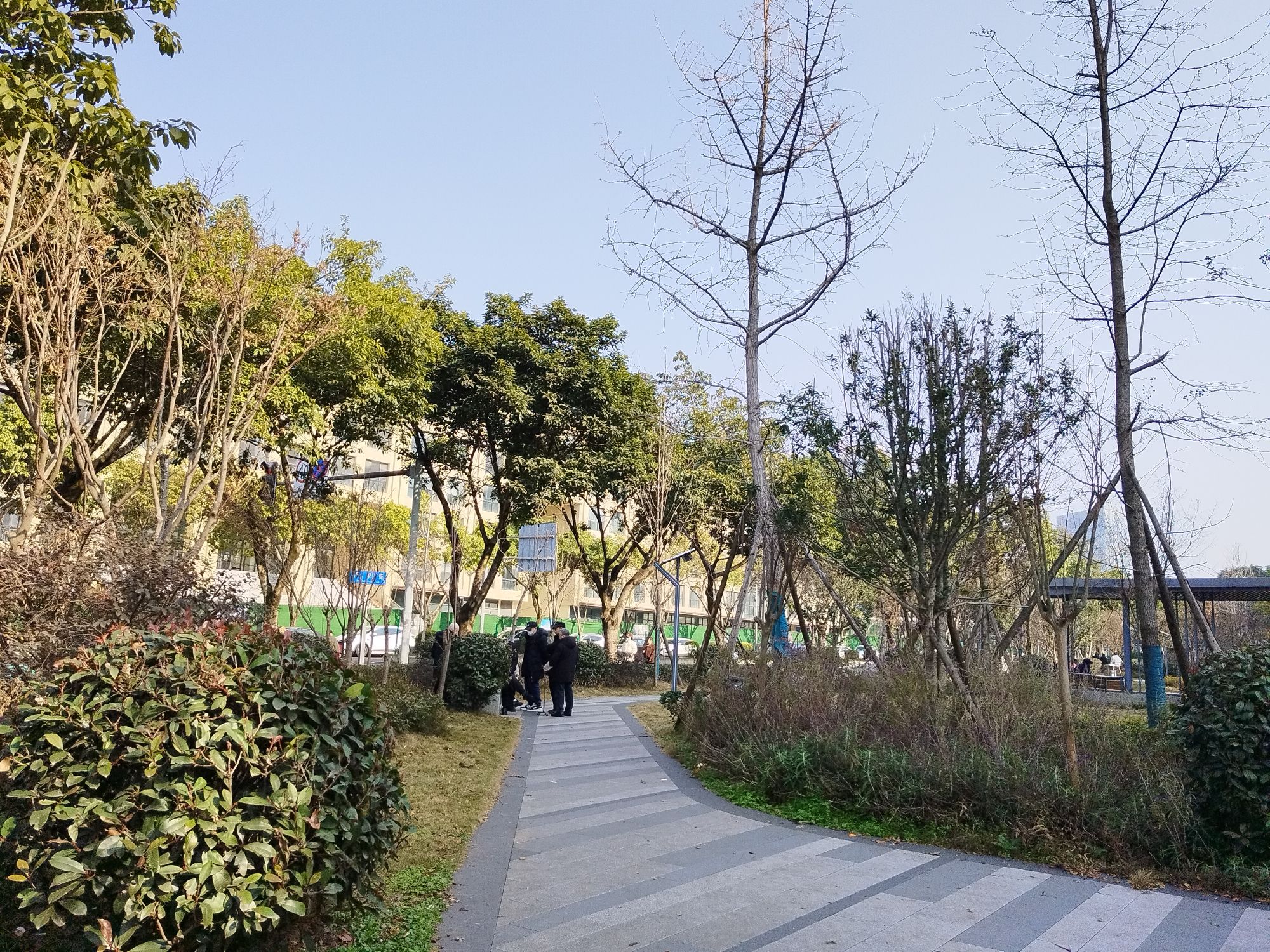 海桐街社区公园旅行图片 2