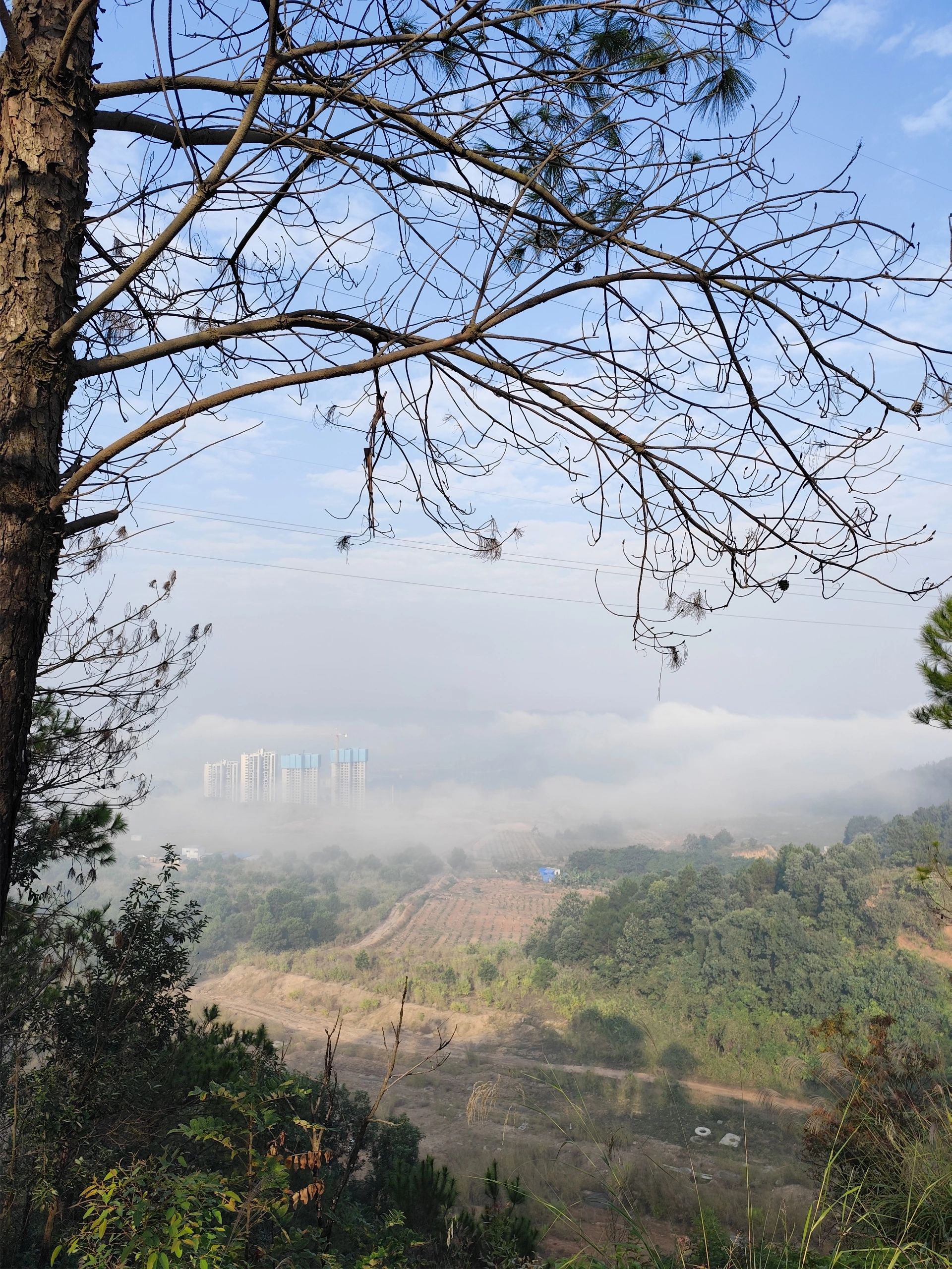 狮卧山公园旅行图片 2