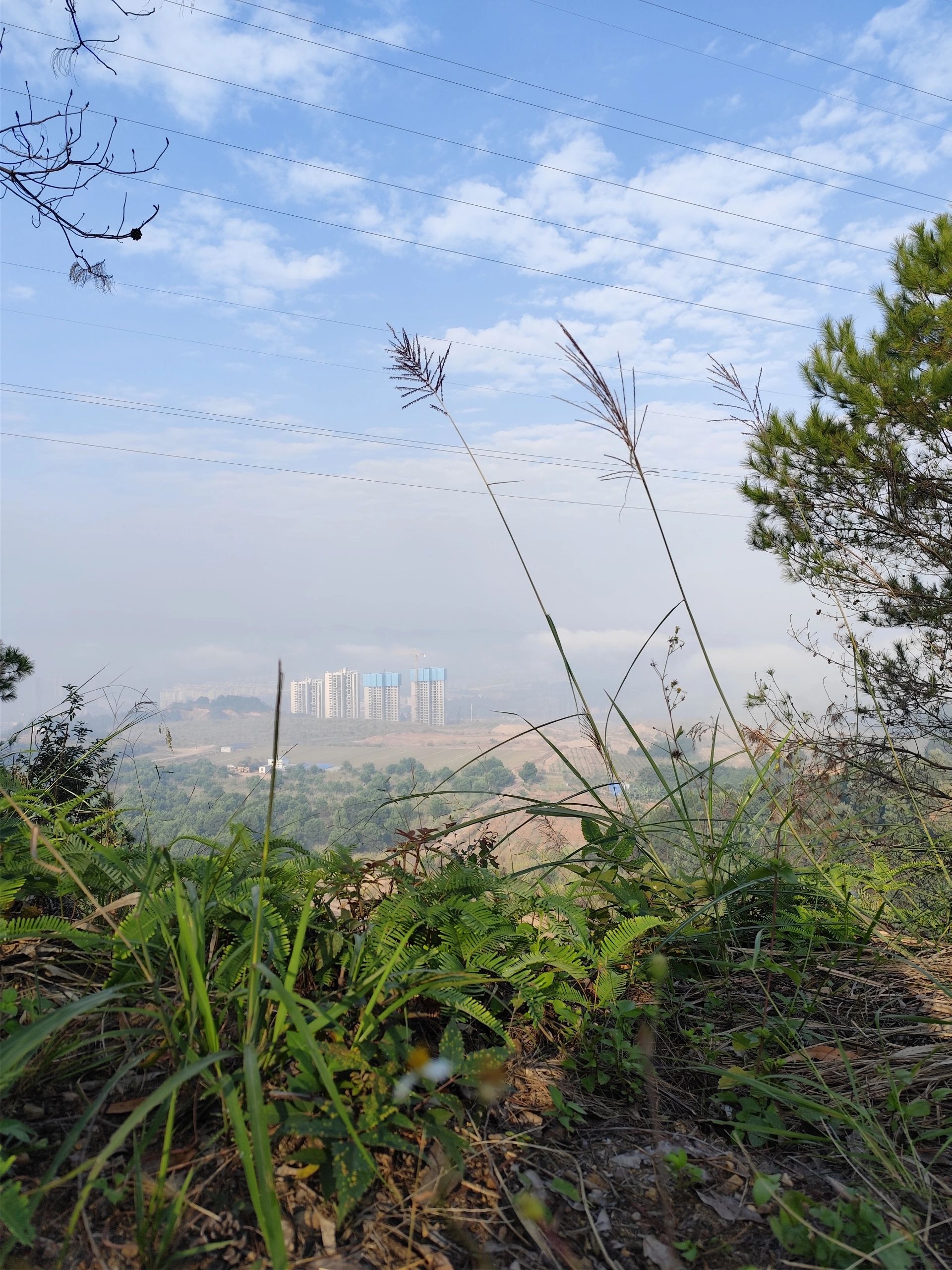 狮卧山公园旅行图片 3