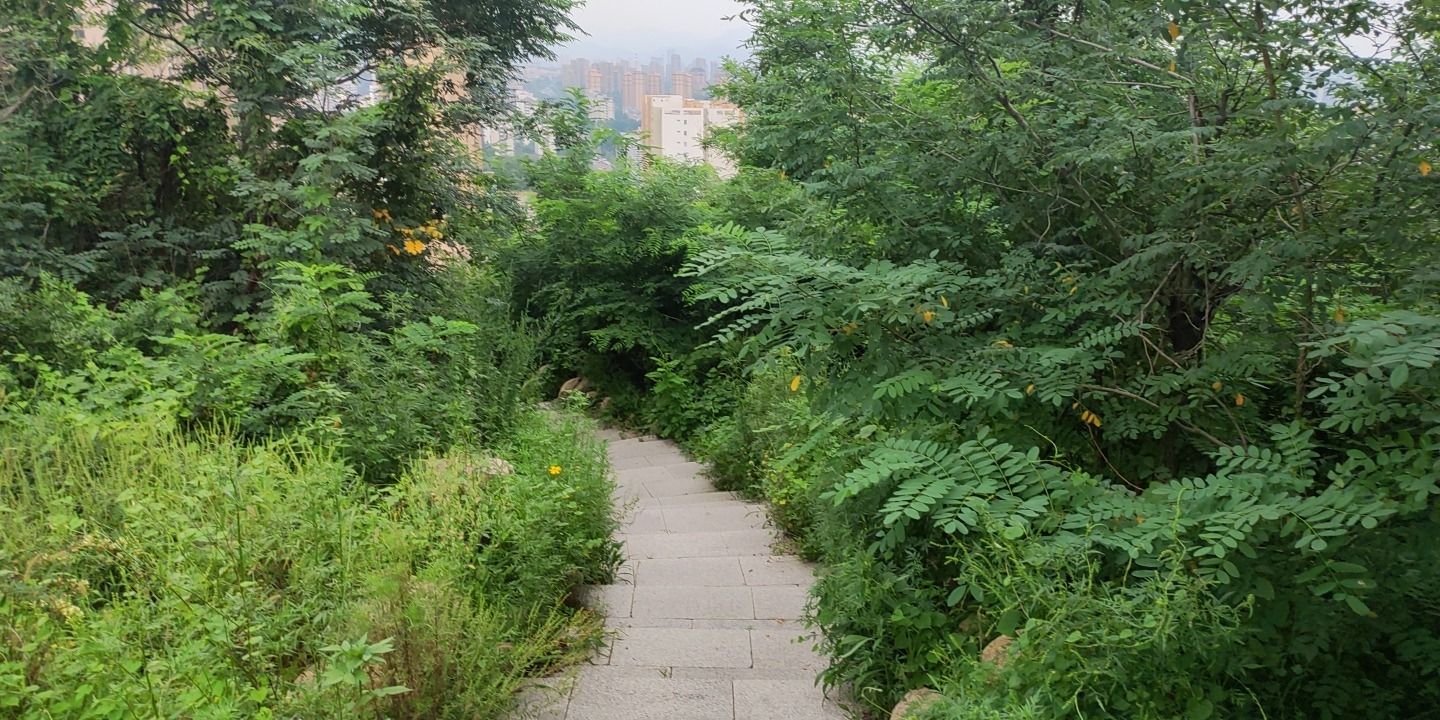 老虎山碉堡旅行图片 3