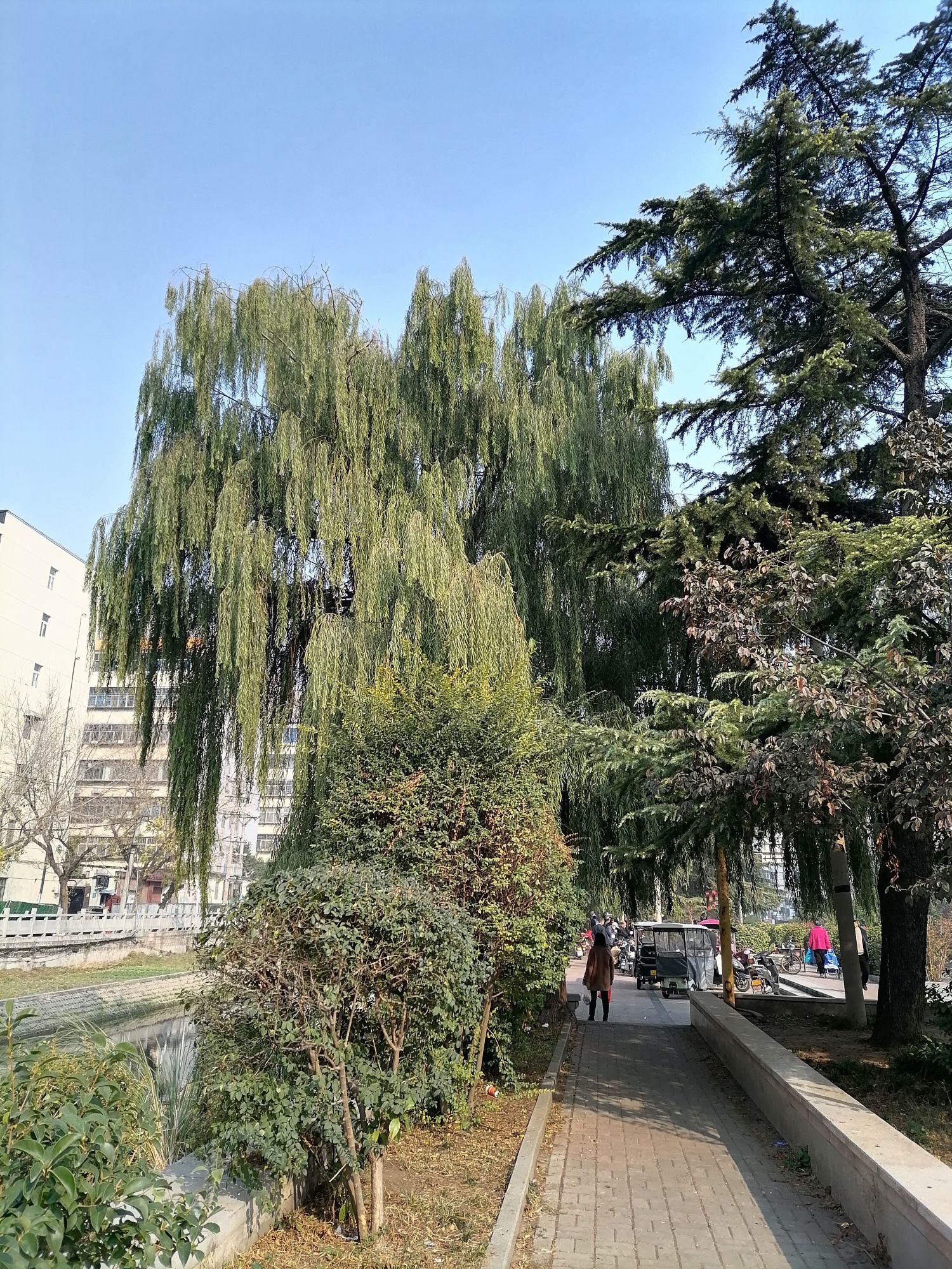食品安全主题公园旅行图片 3