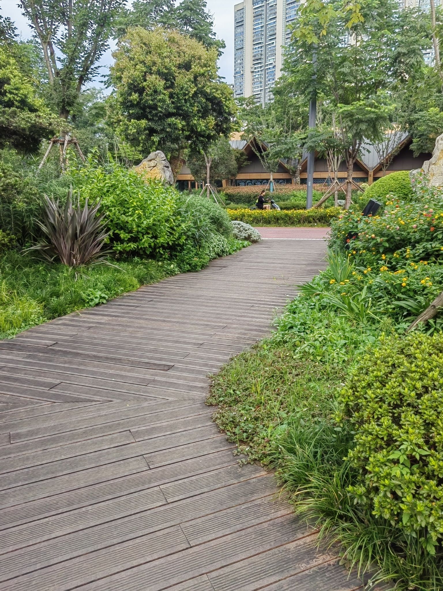 锦江公园·亲水园旅行图片 2