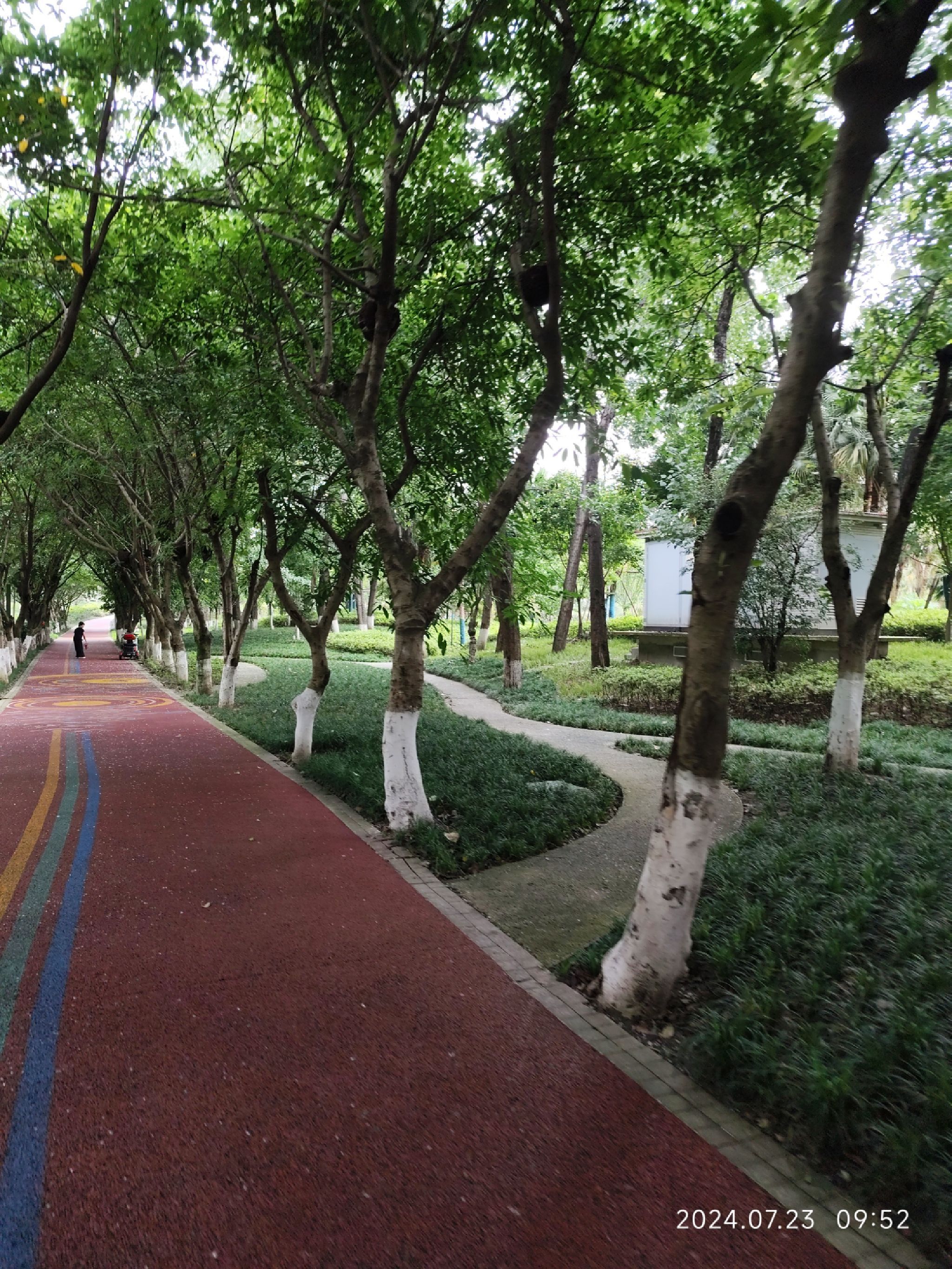锦江公园·亲水园旅行图片 1