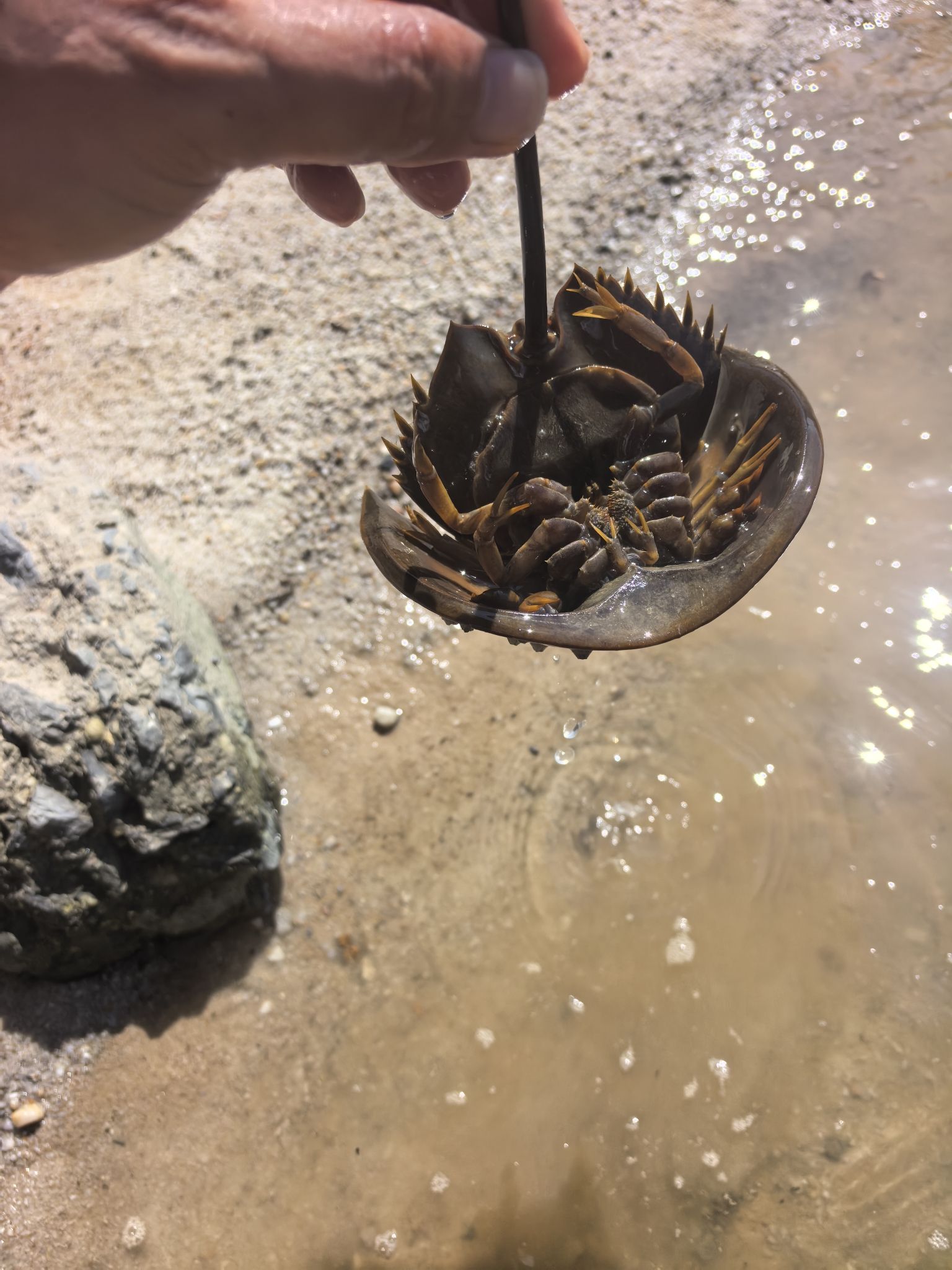赶海区