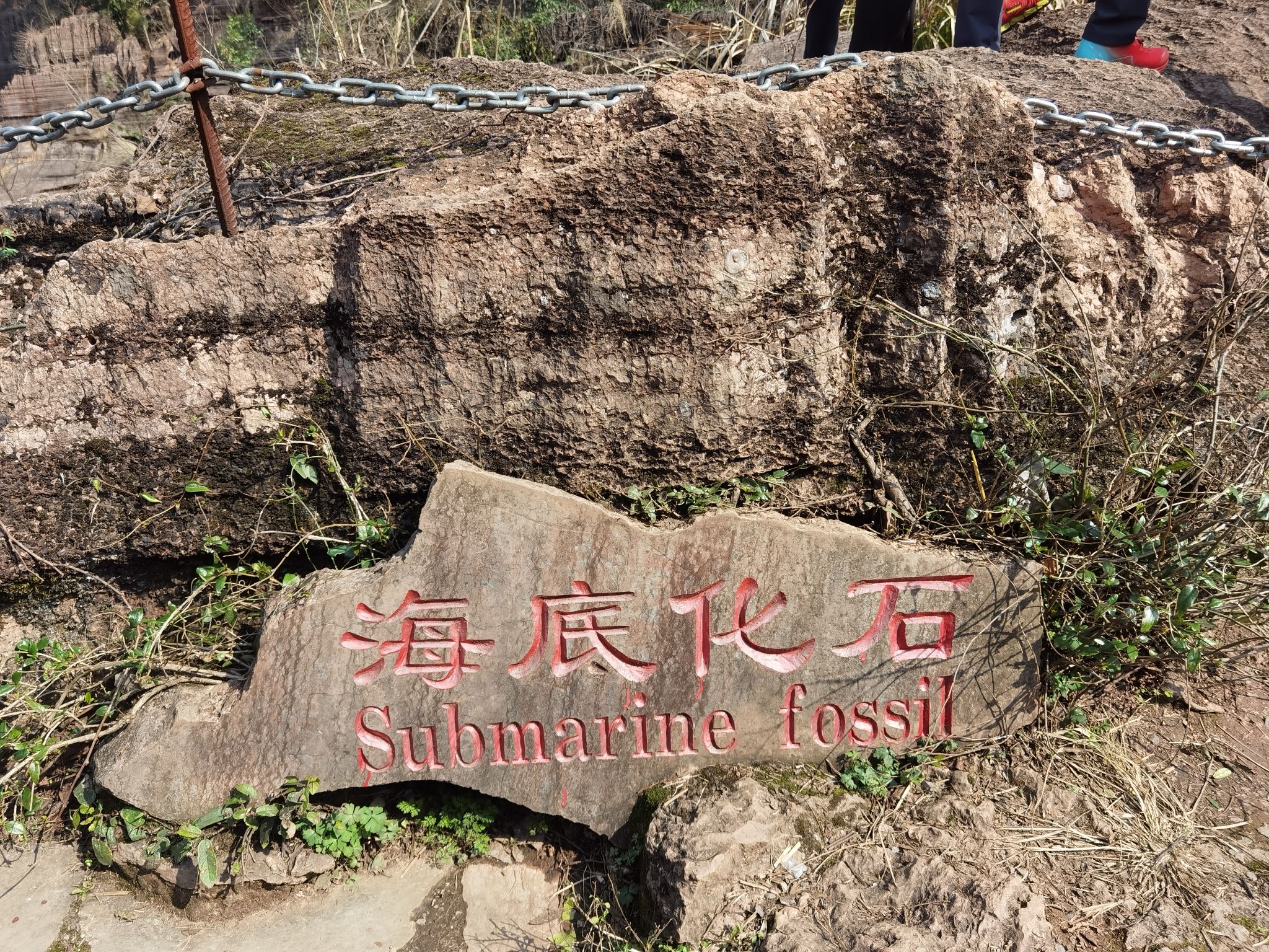 奥陶海底