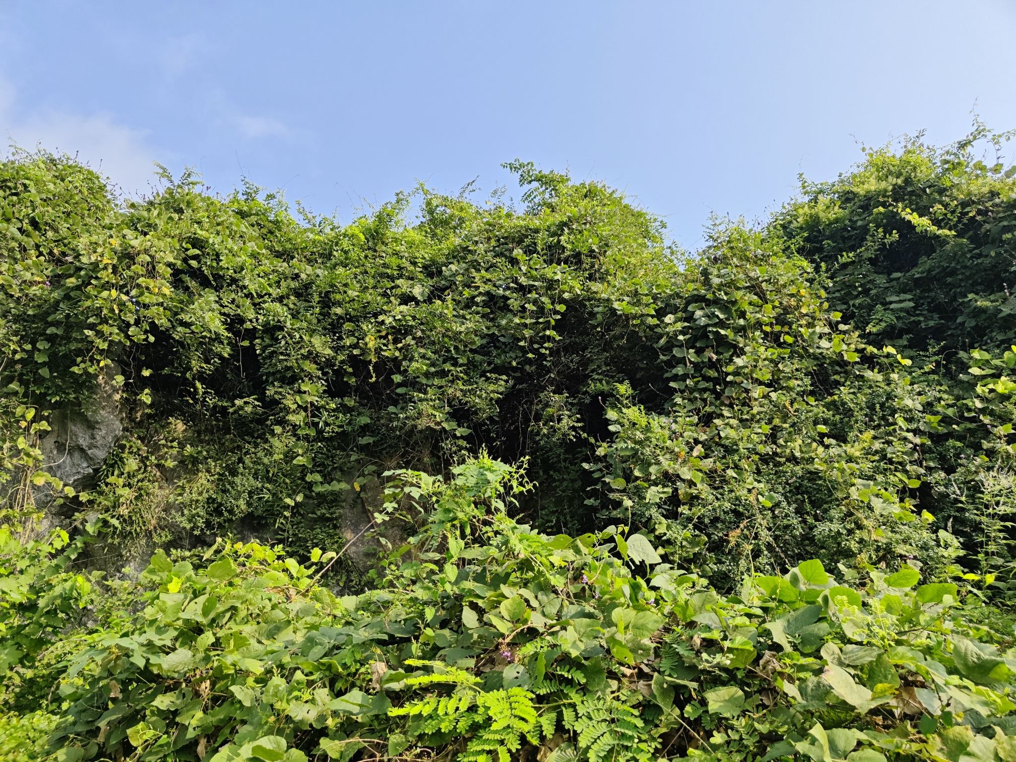 永州古城墙遗址旅行图片 3