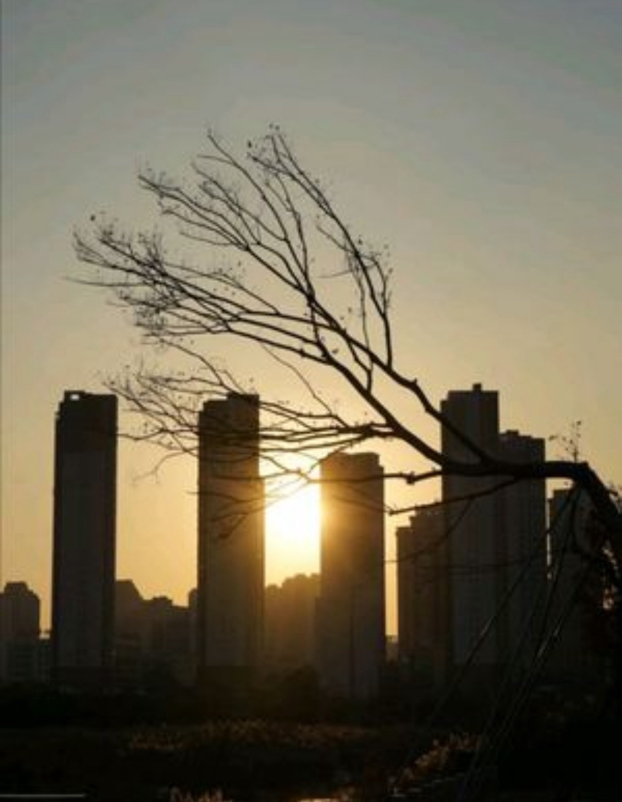 晋江浙岸湿地公园旅行图片 1