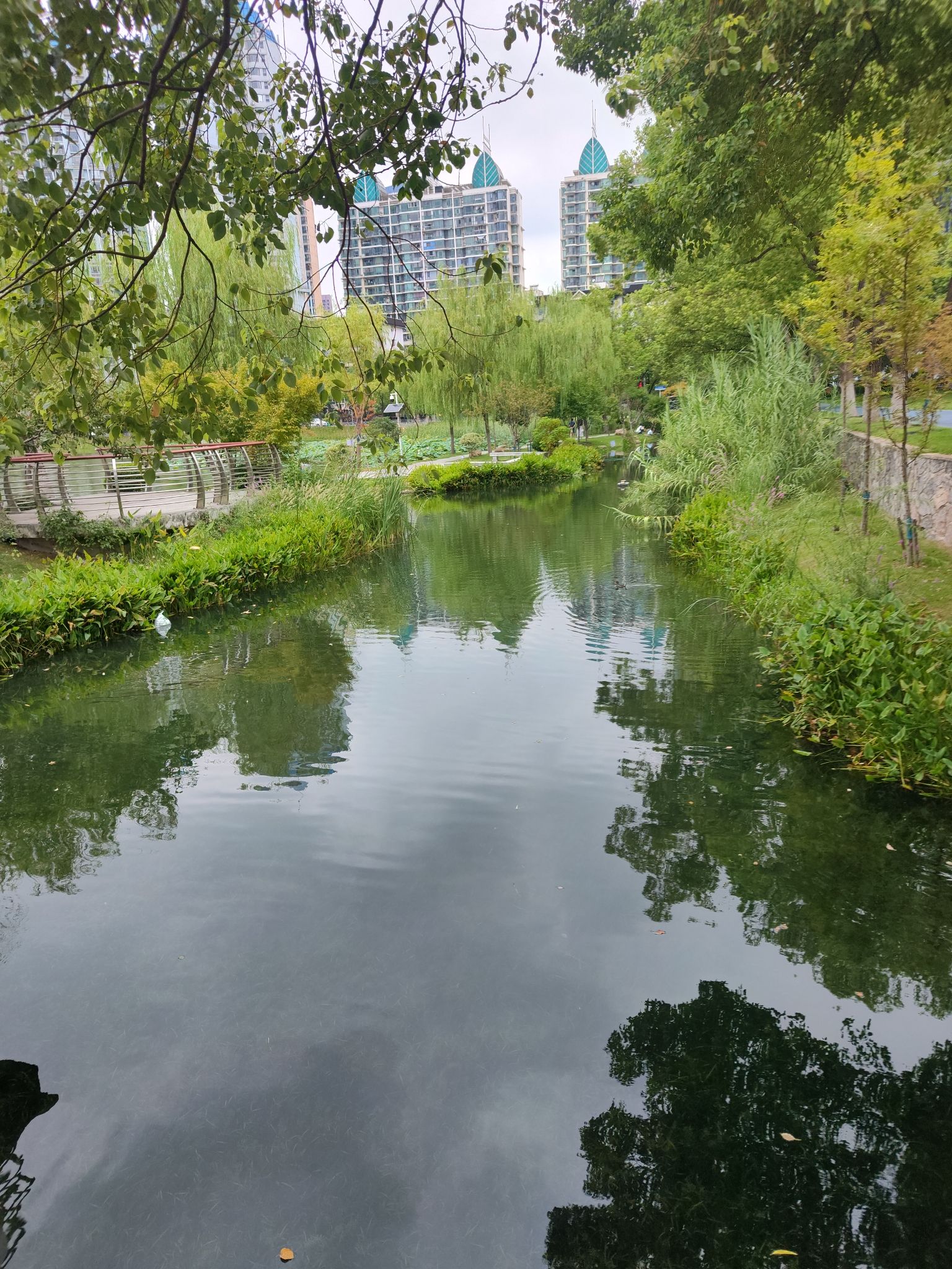 西北湖公园旅行图片 2