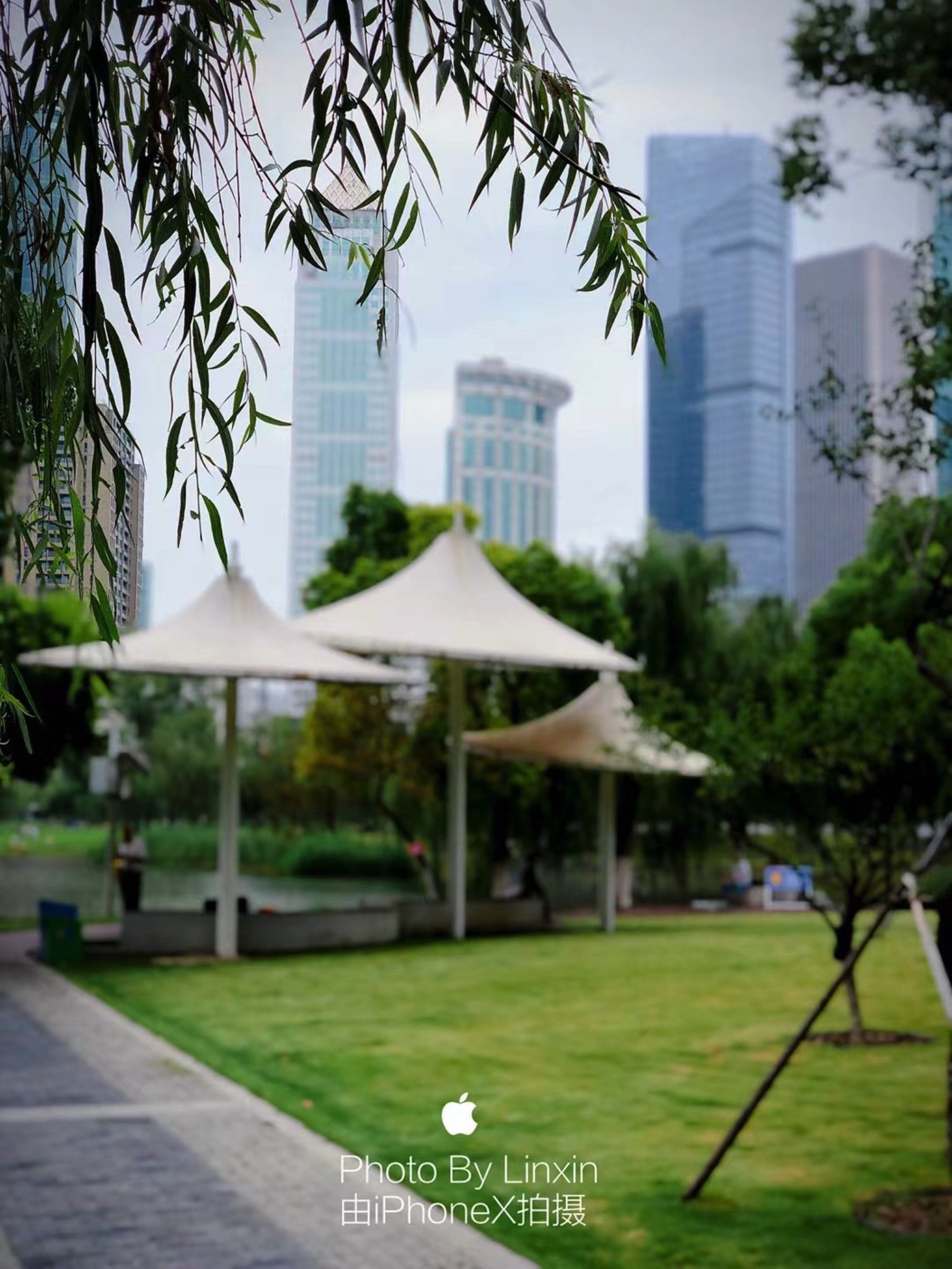 西北湖公园旅行图片 1