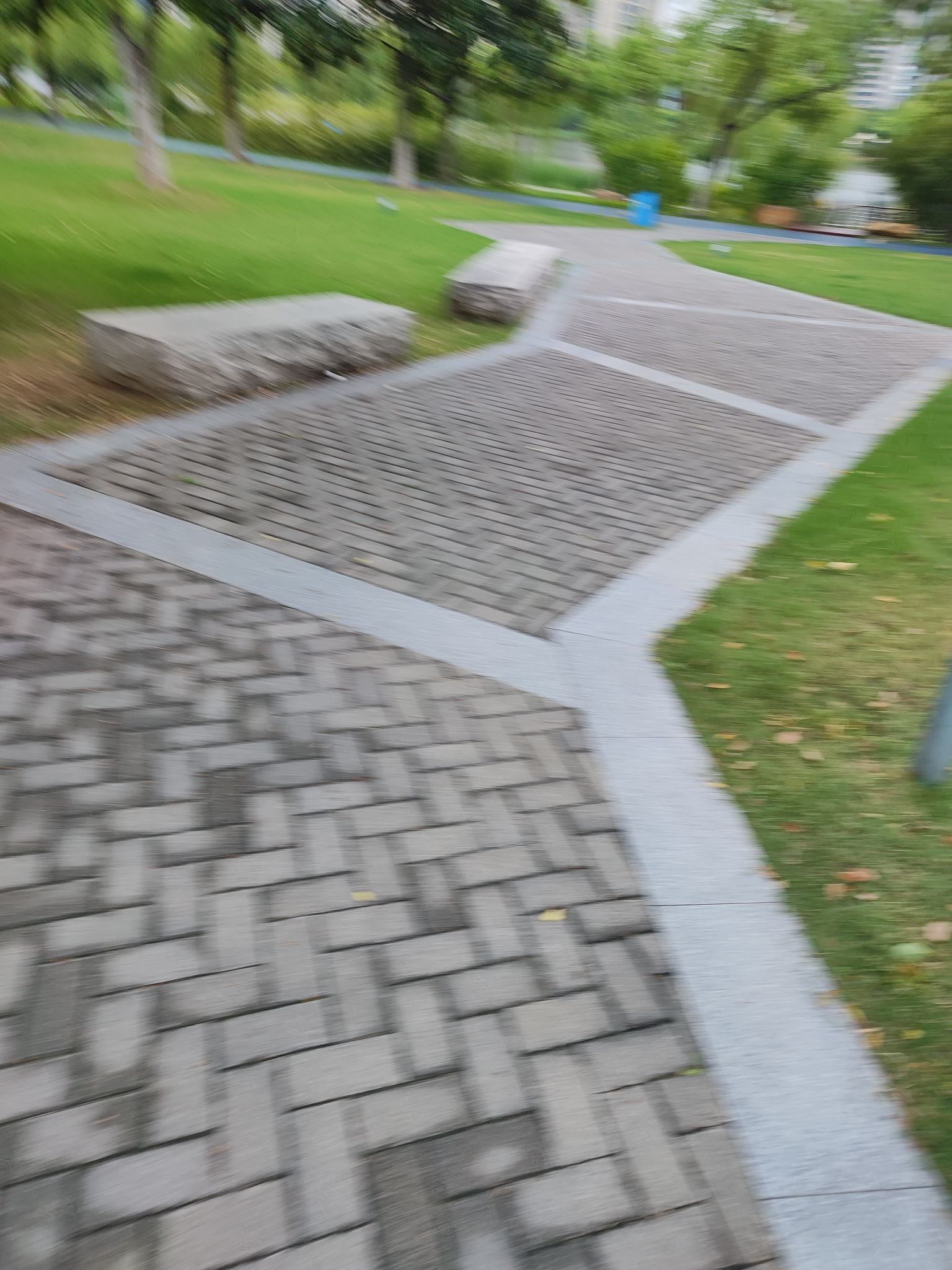 西北湖公园旅行图片 1