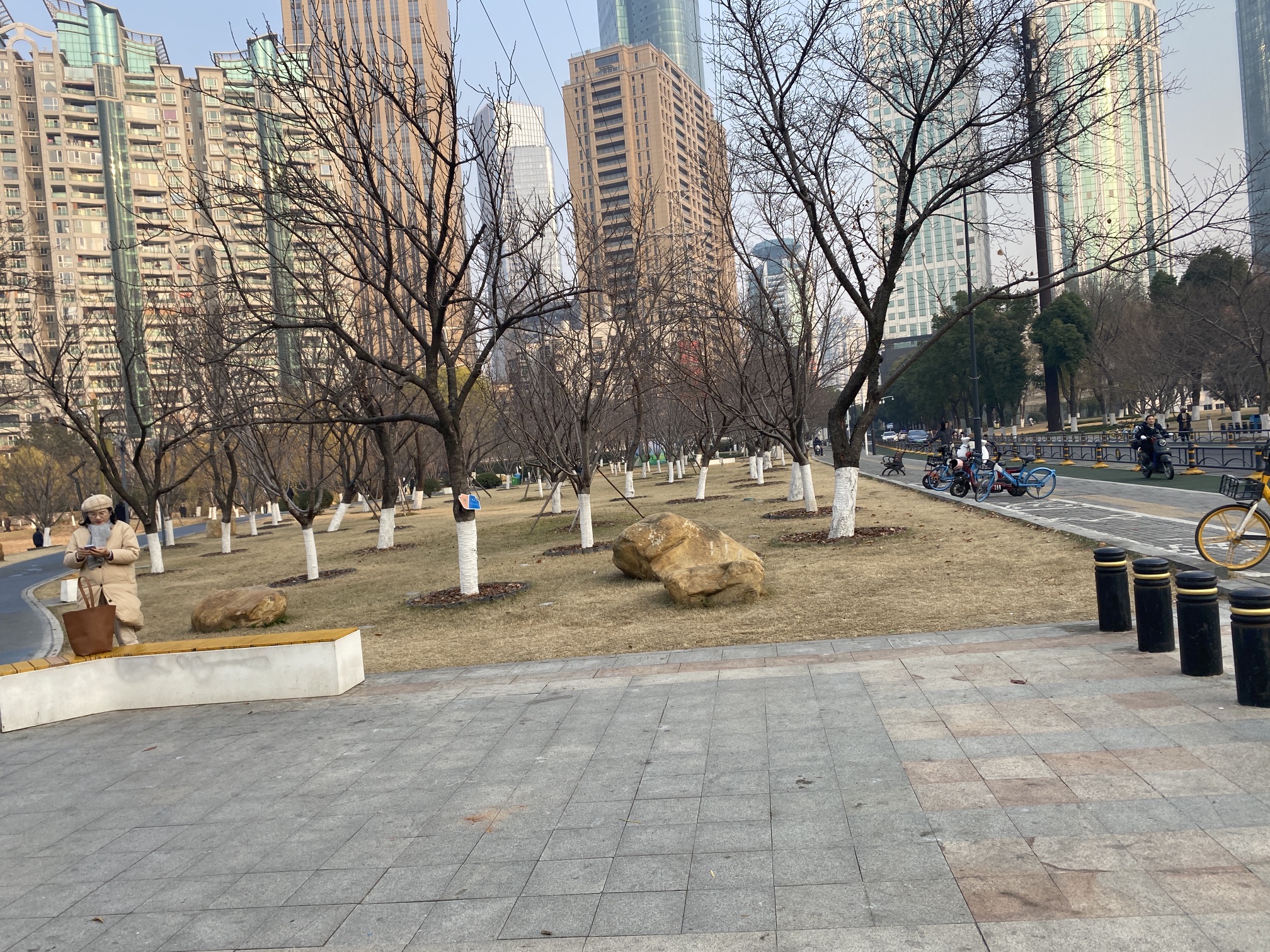 西北湖公园旅行图片 2