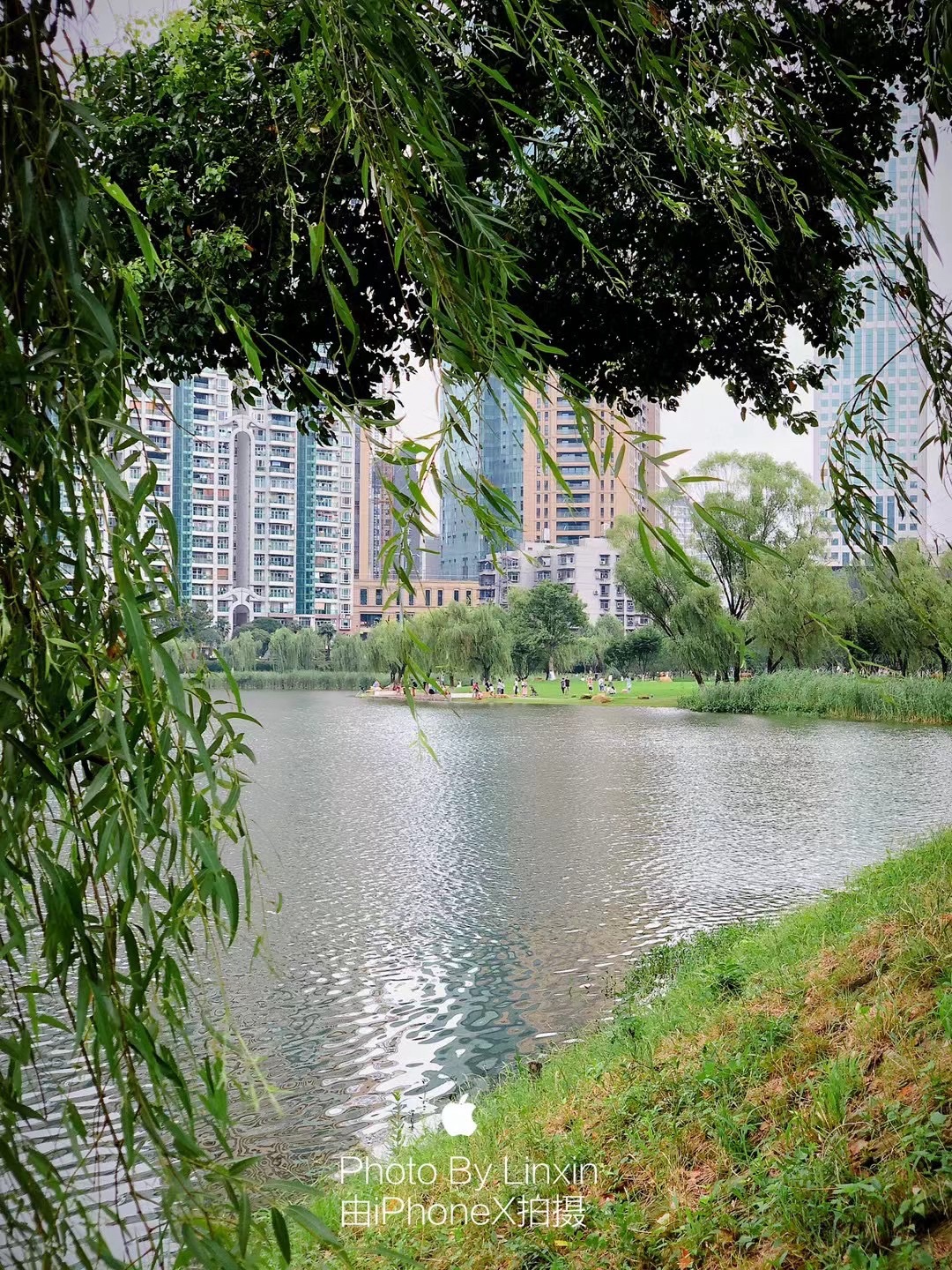 西北湖公园旅行图片 3
