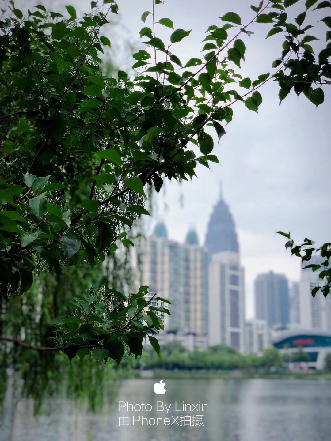 西北湖公园旅行图片 2
