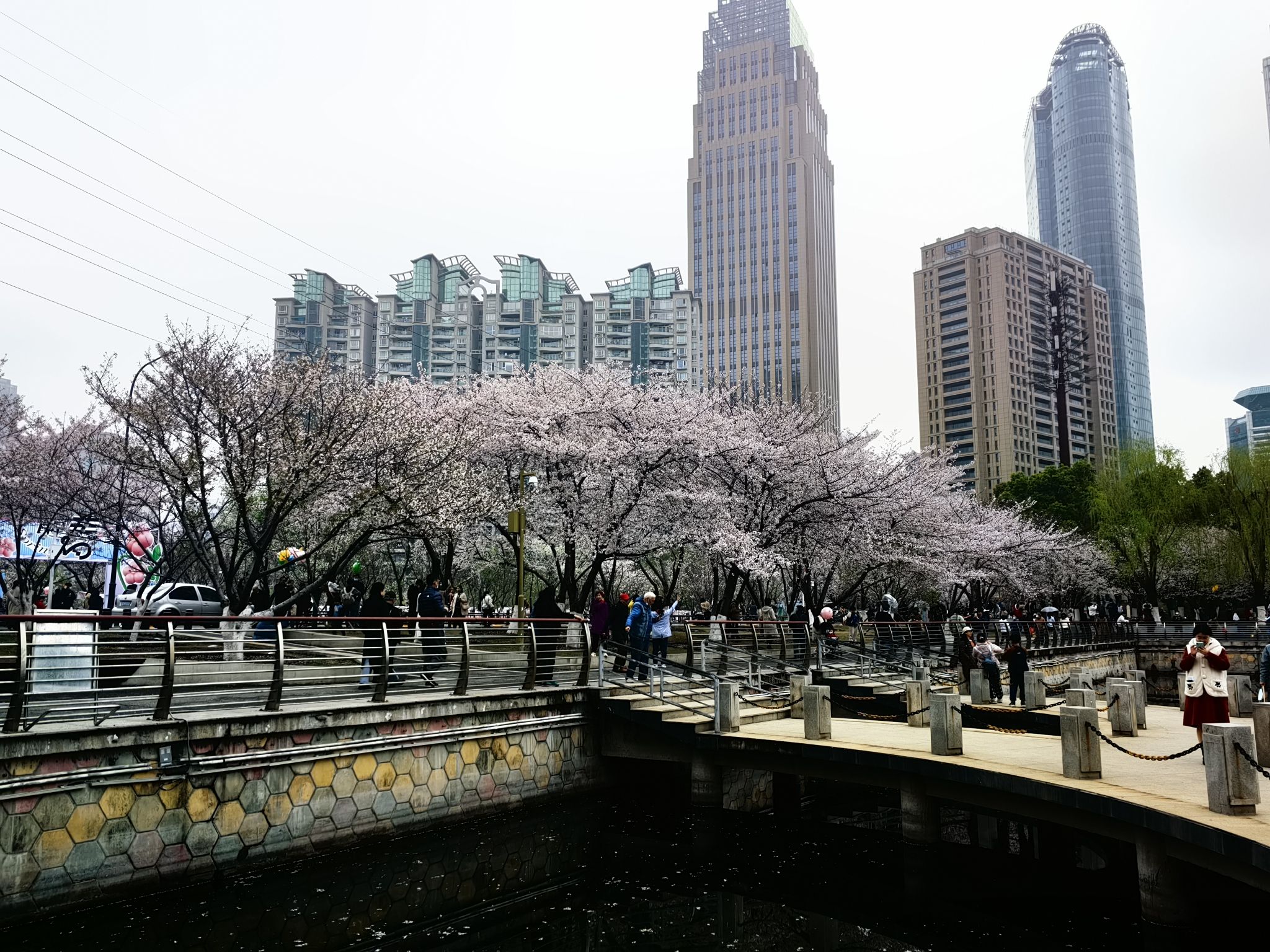西北湖公园旅行图片 3