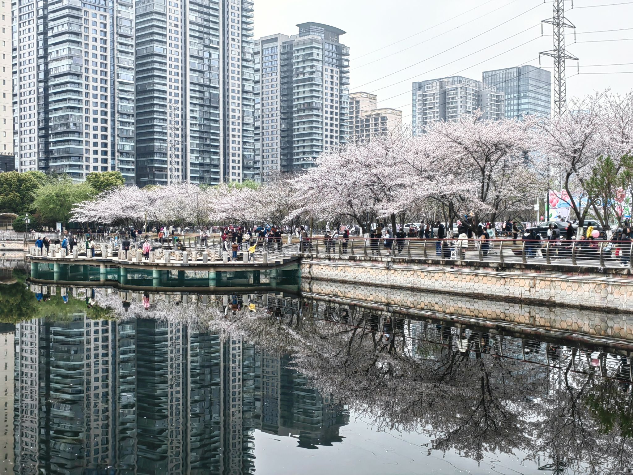 西北湖公园旅行图片 1