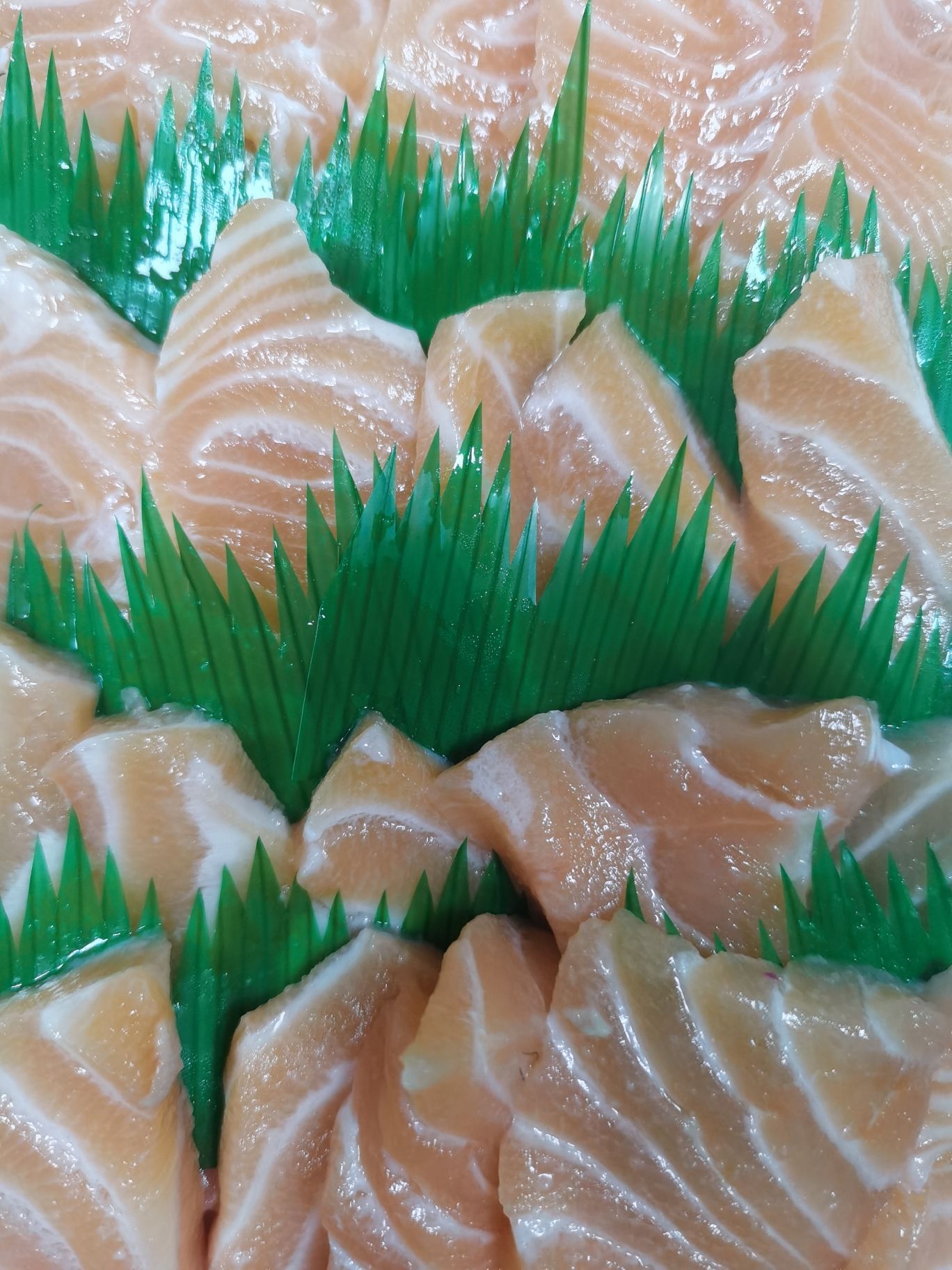 乐鑫三文鱼(林旺店)