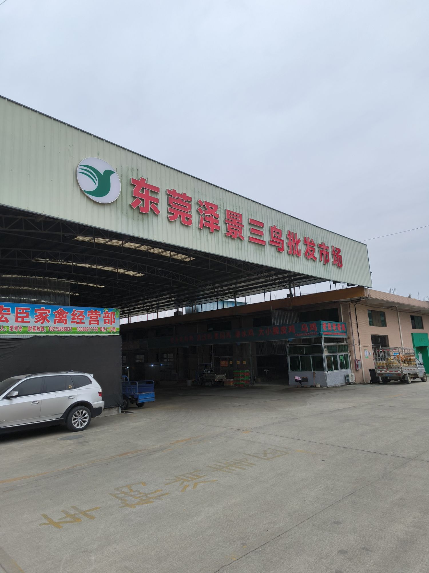 东莞市泽景三鸟批发市场