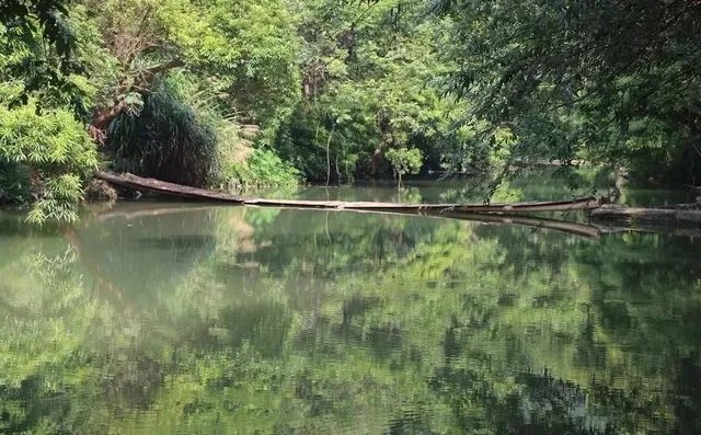 五里沟风景区旅行图片 1