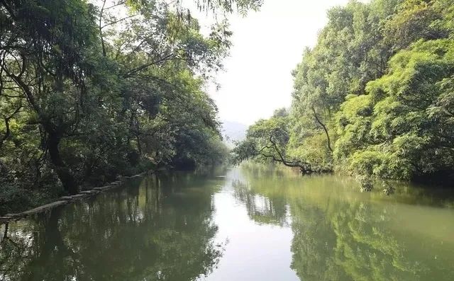 五里沟风景区旅行图片 2