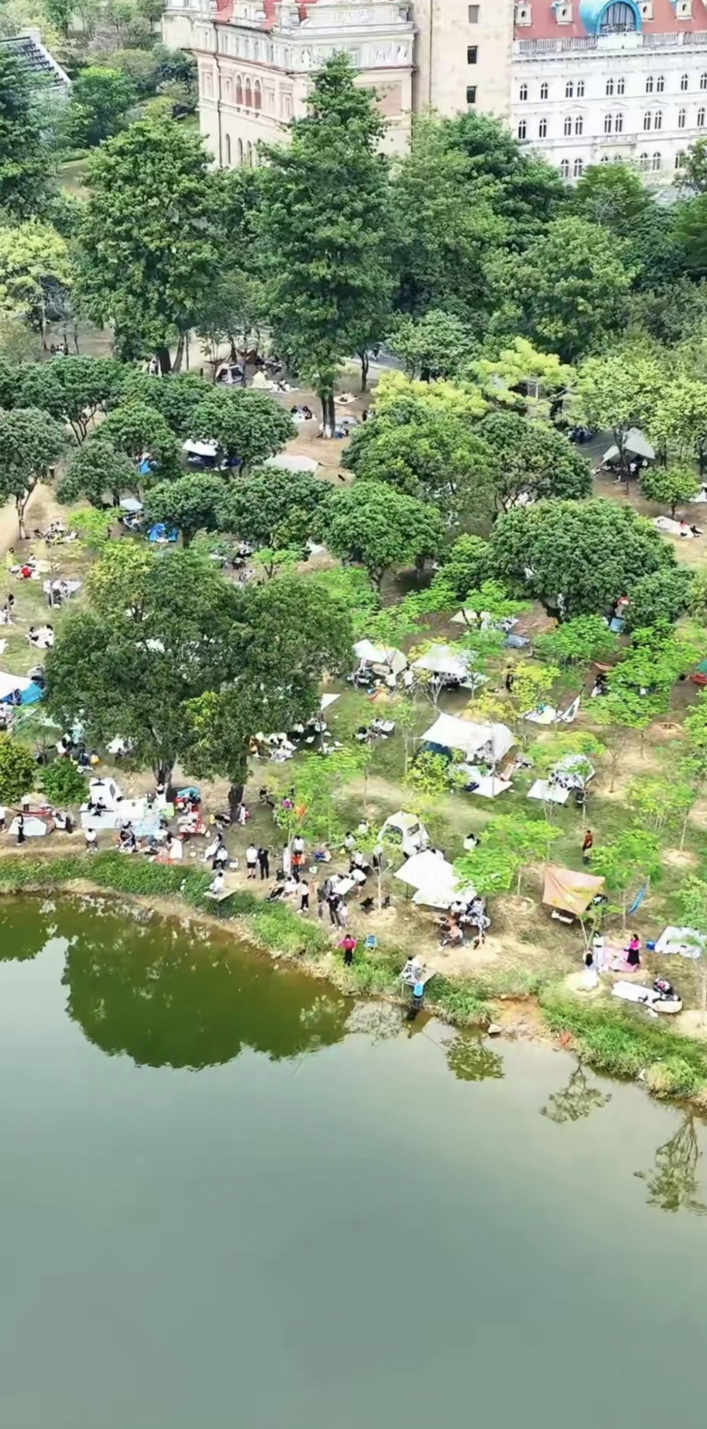东莞市松山湖宝陂村露营地