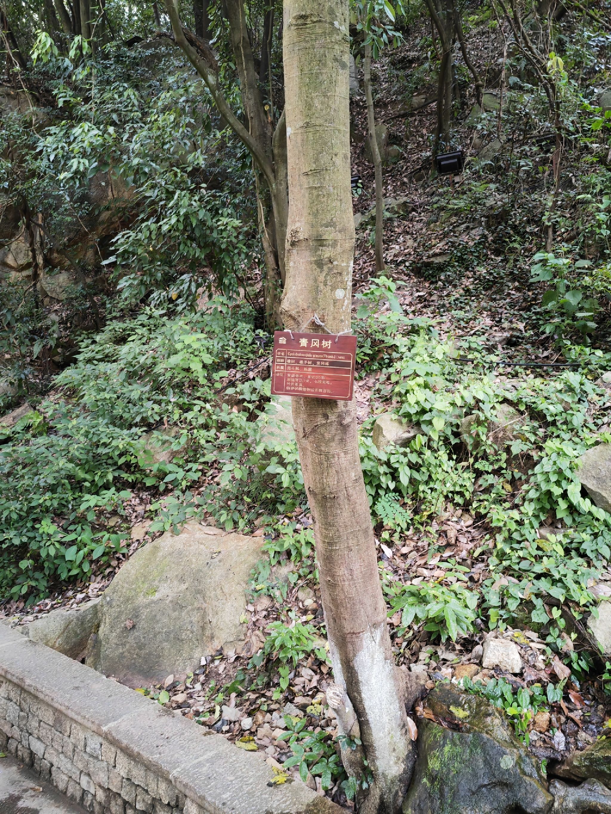 怪石滩旅行图片 1