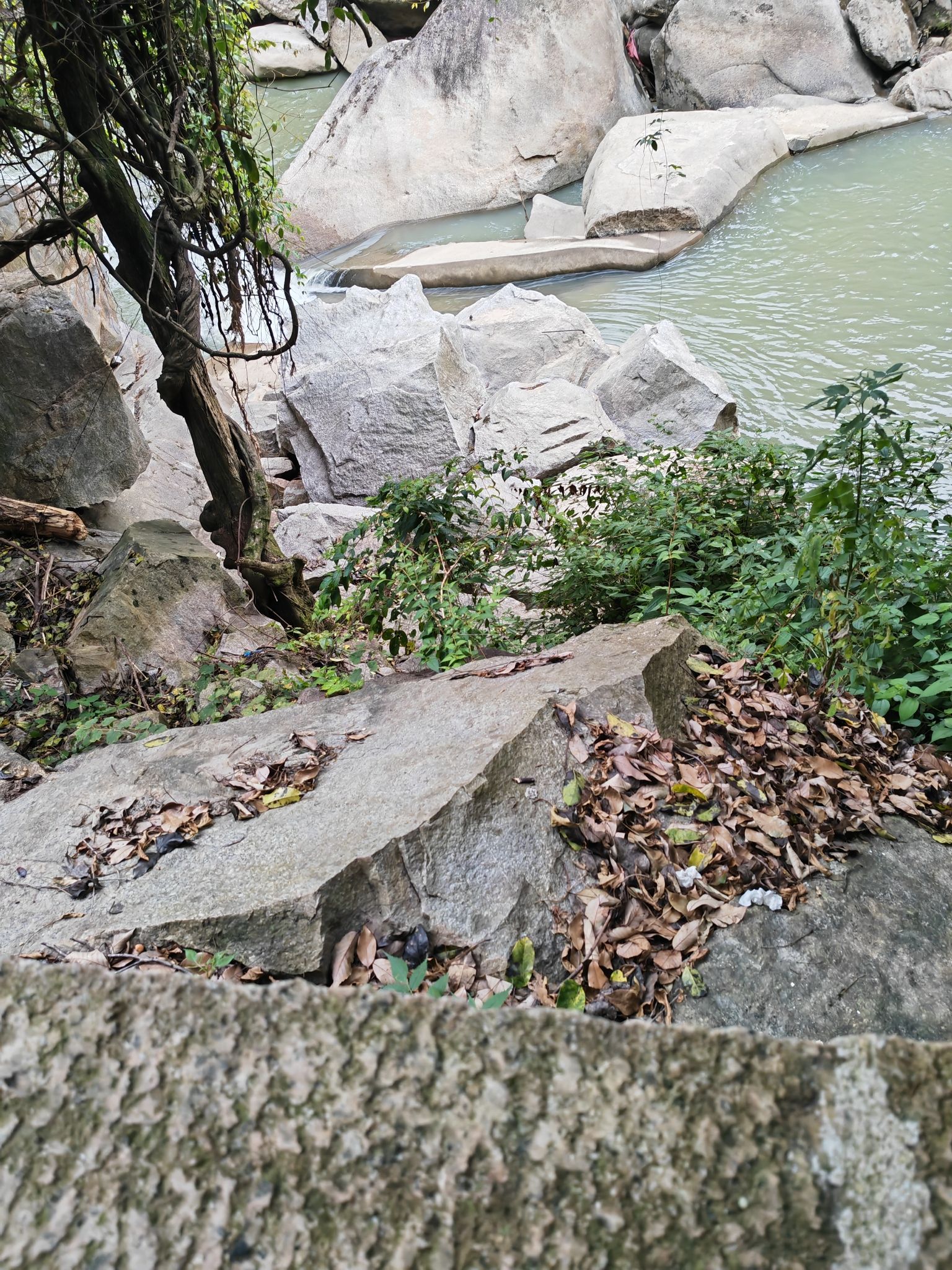 怪石滩旅行图片 3