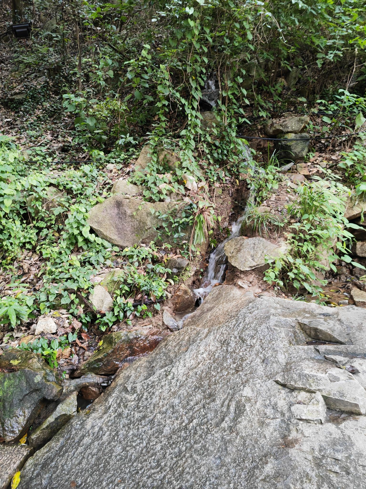 怪石滩旅行图片 2