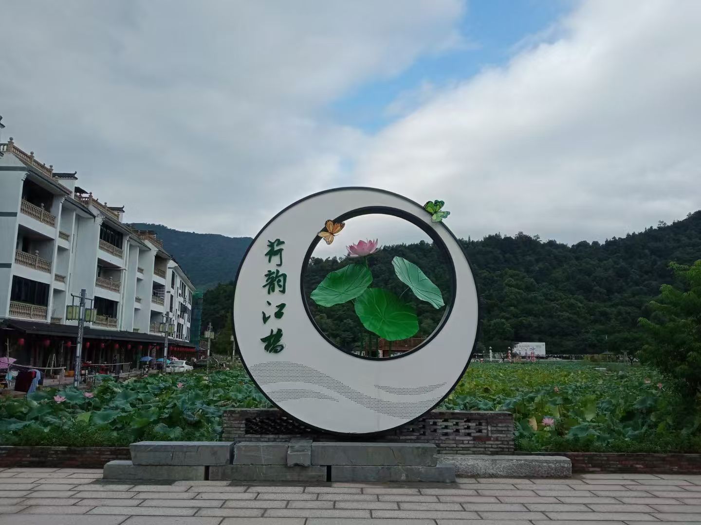 江桥荷花池旅行图片 1