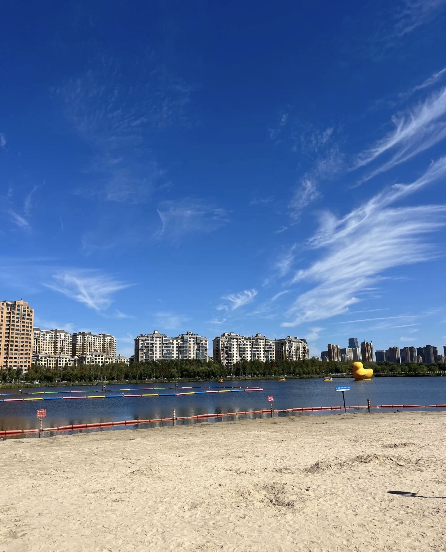 南溪湿地公园-沙滩区
