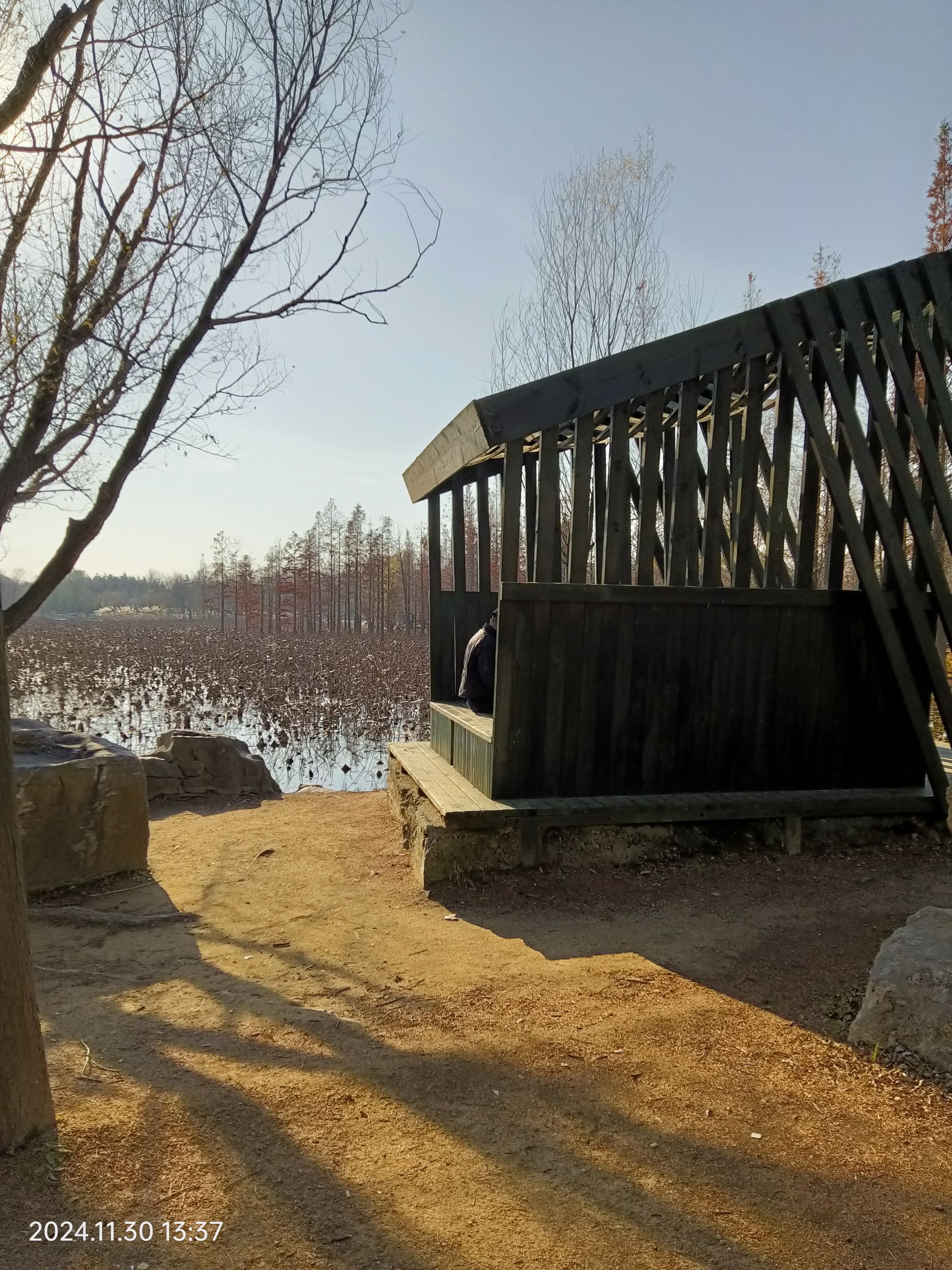 烟台鱼鸟河荷花公园旅行图片 2
