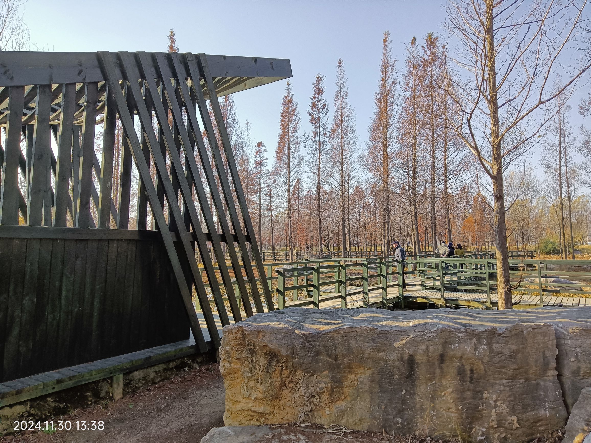 烟台鱼鸟河荷花公园旅行图片 1