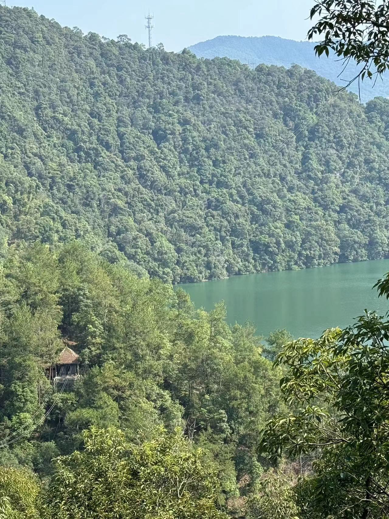 风月岛-观景平台旅行图片 3