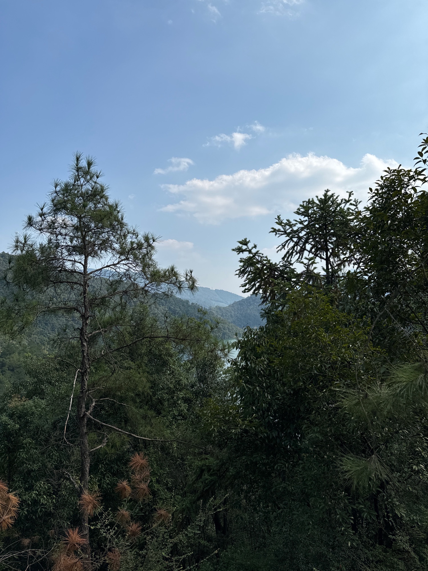 风月岛-观景平台旅行图片 2