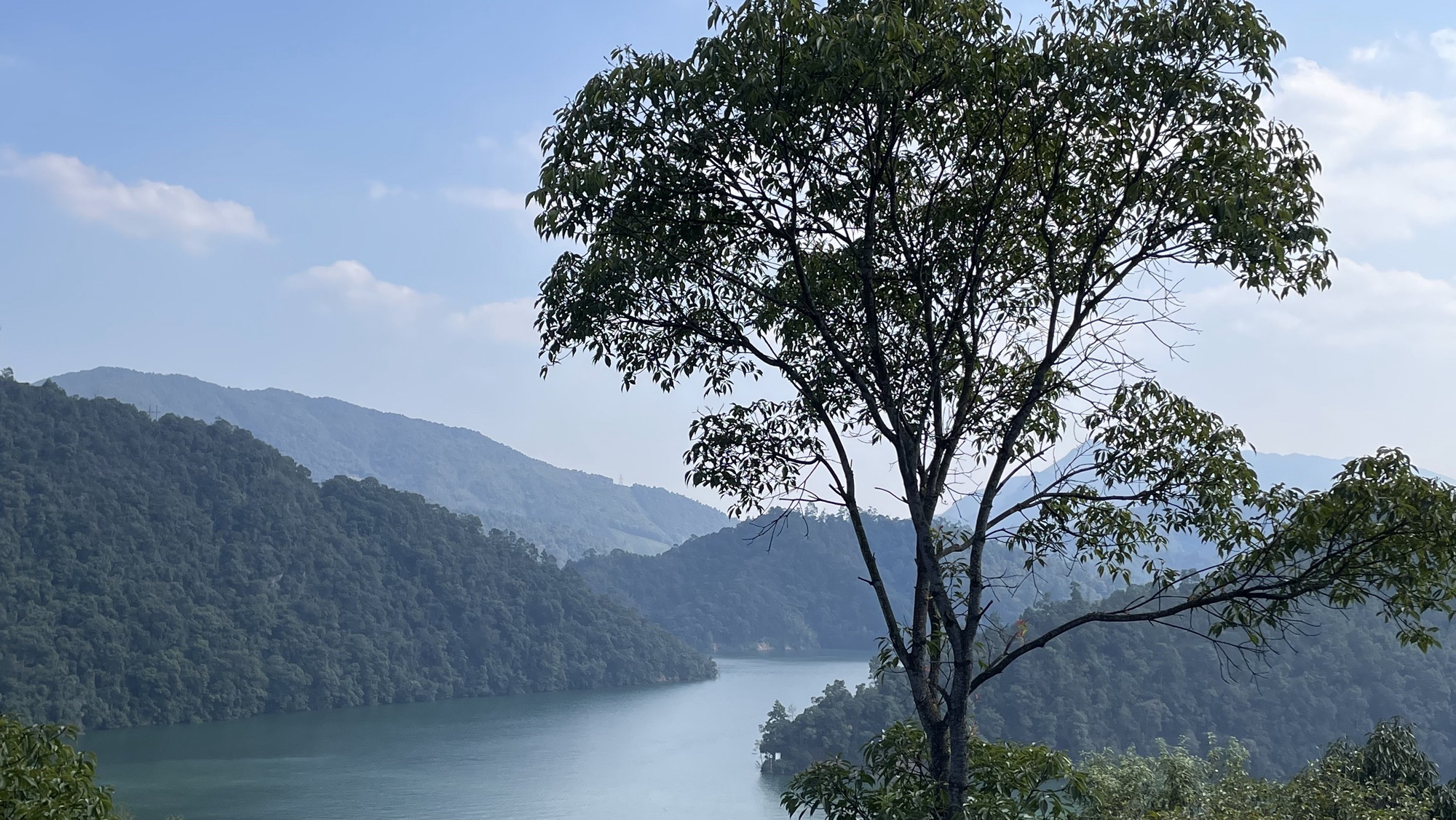 风月岛-观景平台旅行图片 1