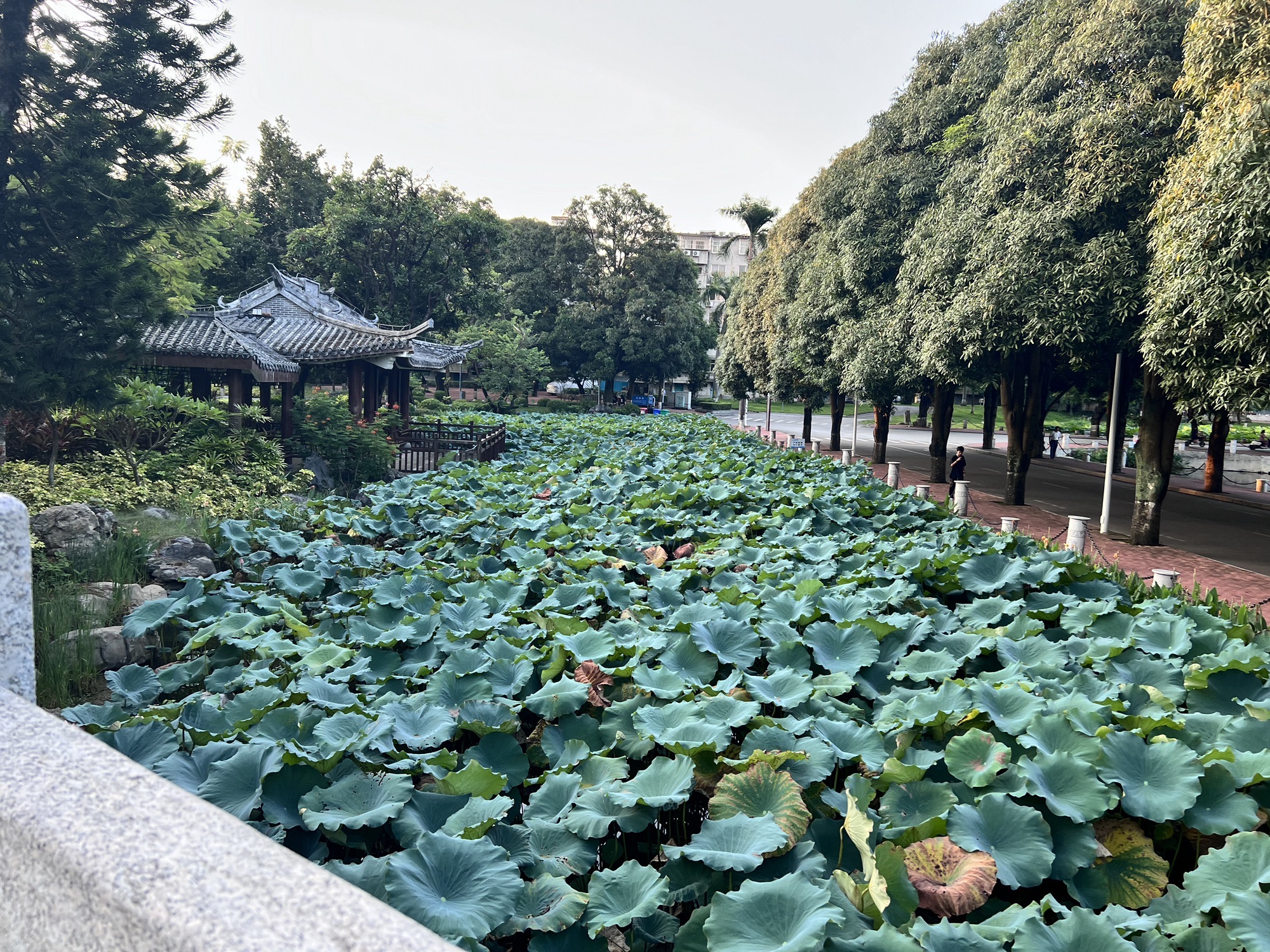 劝学岛旅行图片 3