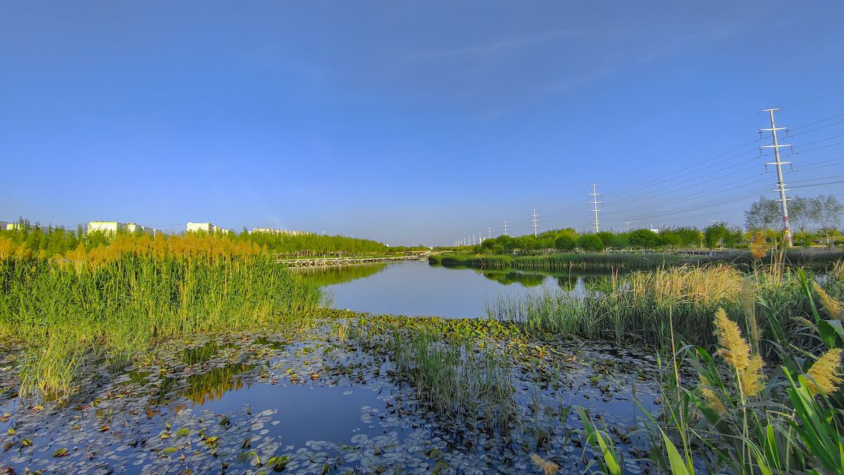 库尔勒市湿地公园
