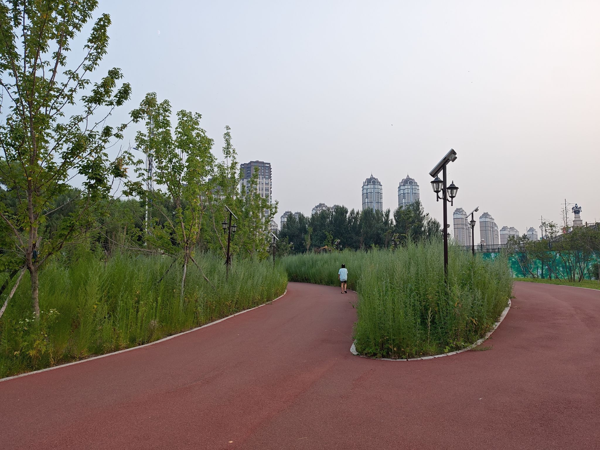 河口公园旅行图片 1