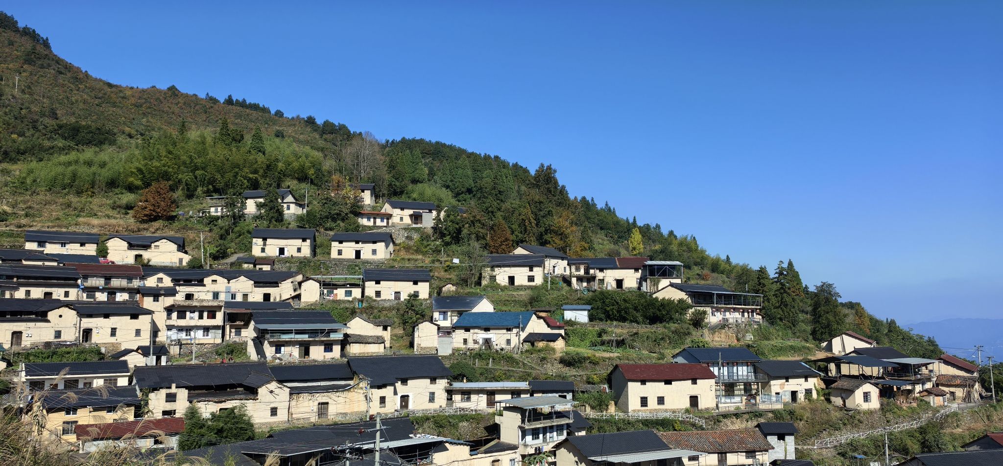 陈寮景区