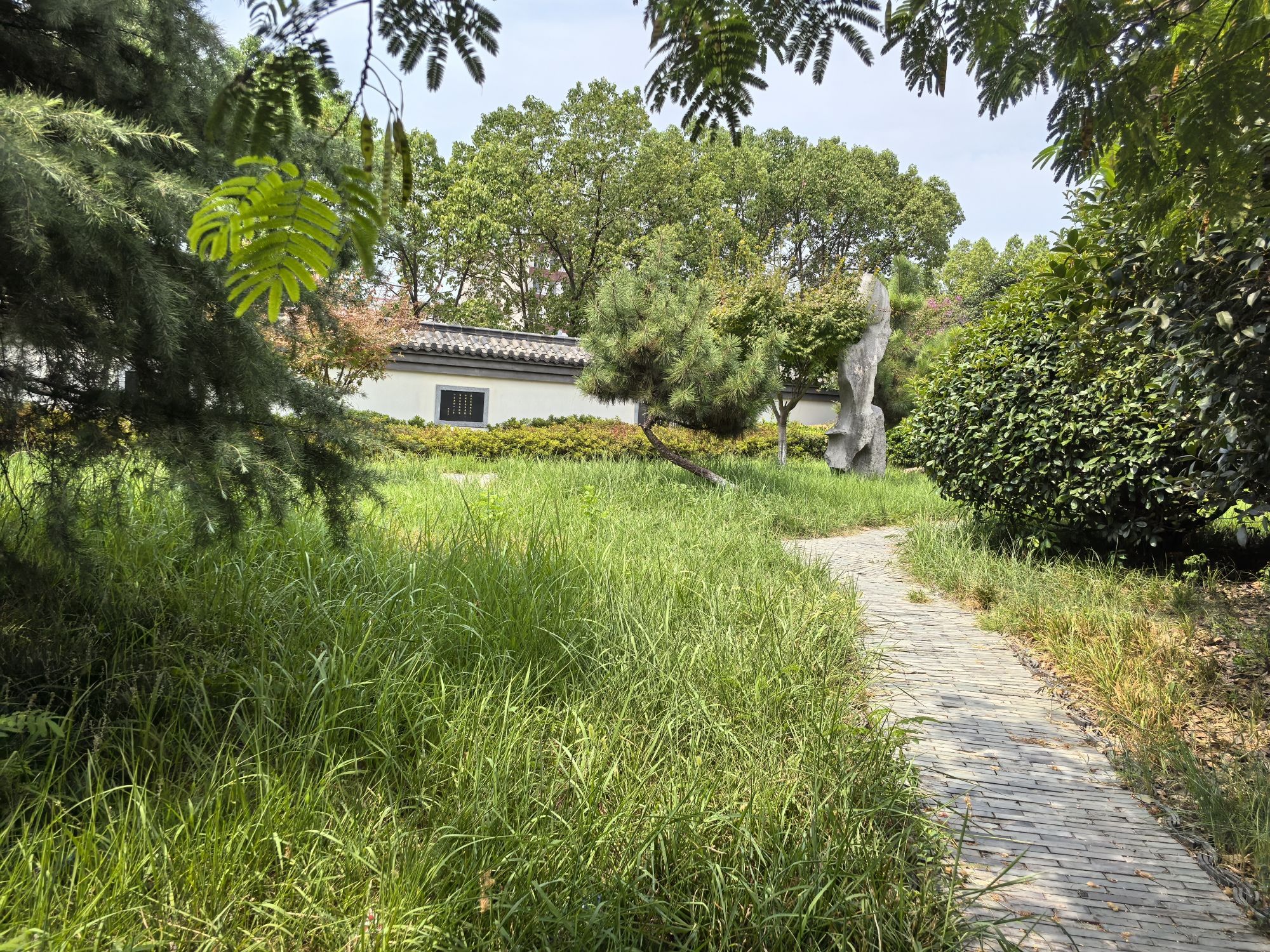 庐江小乔墓旅行图片 1