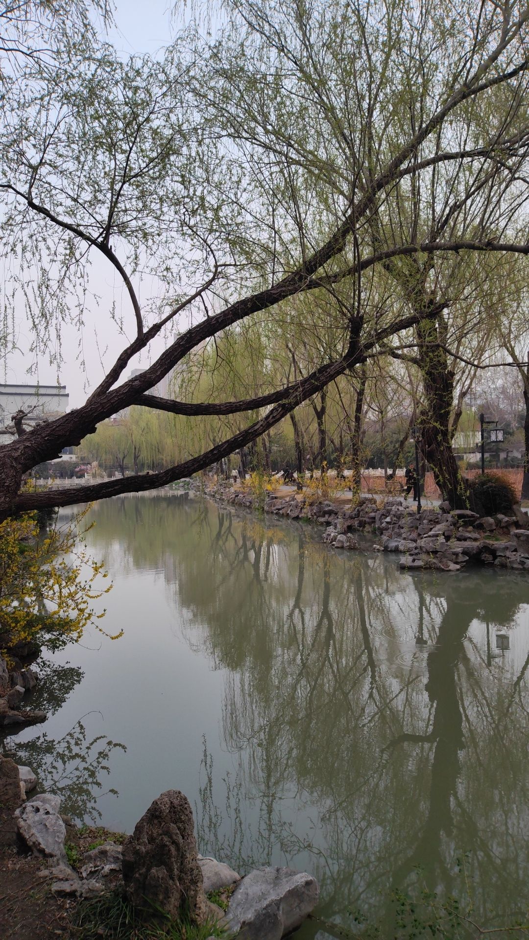 黄石景区