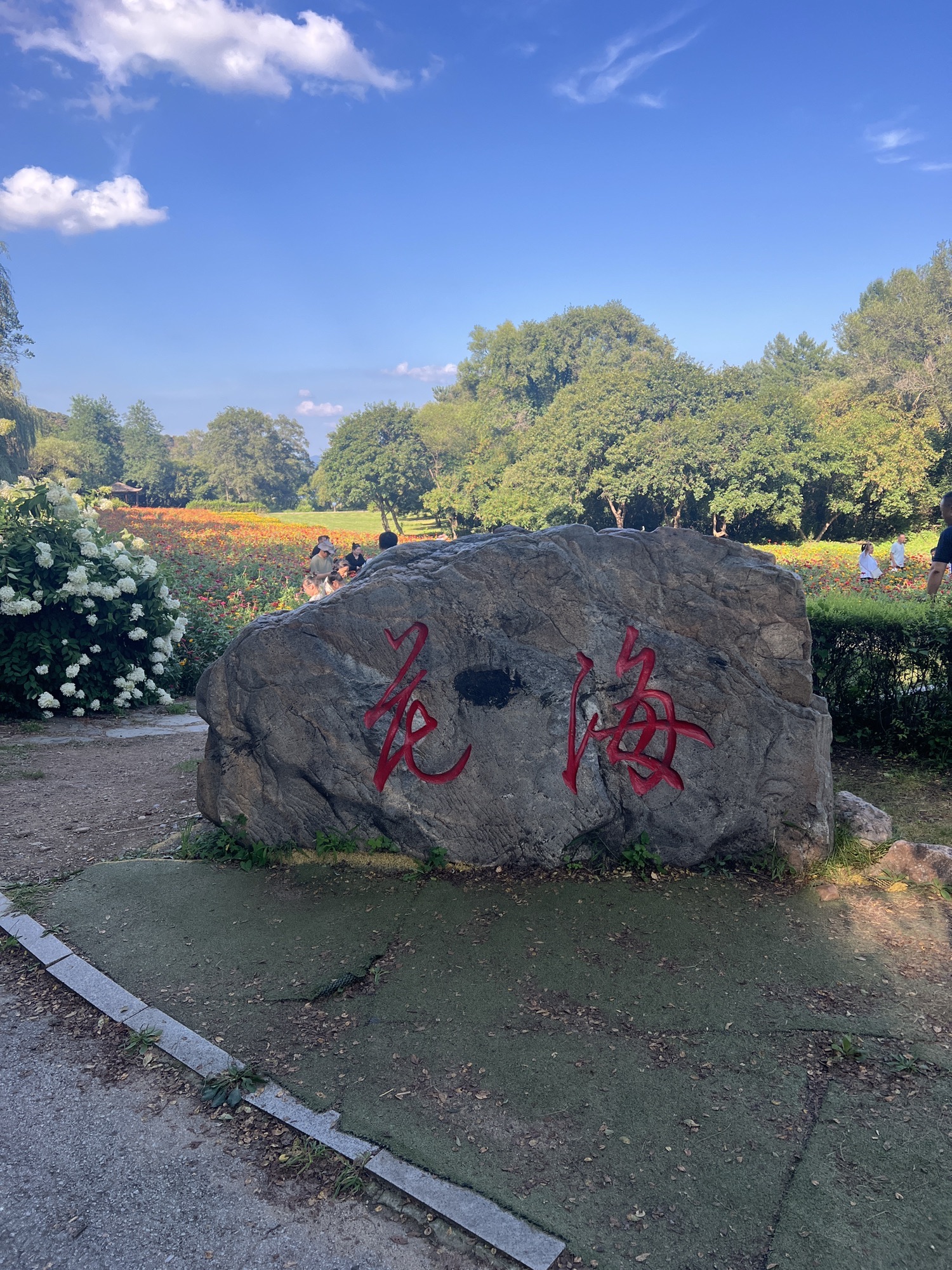 萨尔浒花海