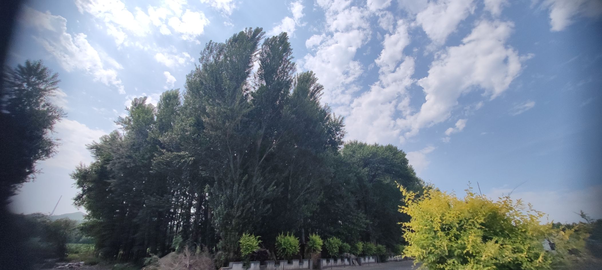 太山庙实景照片