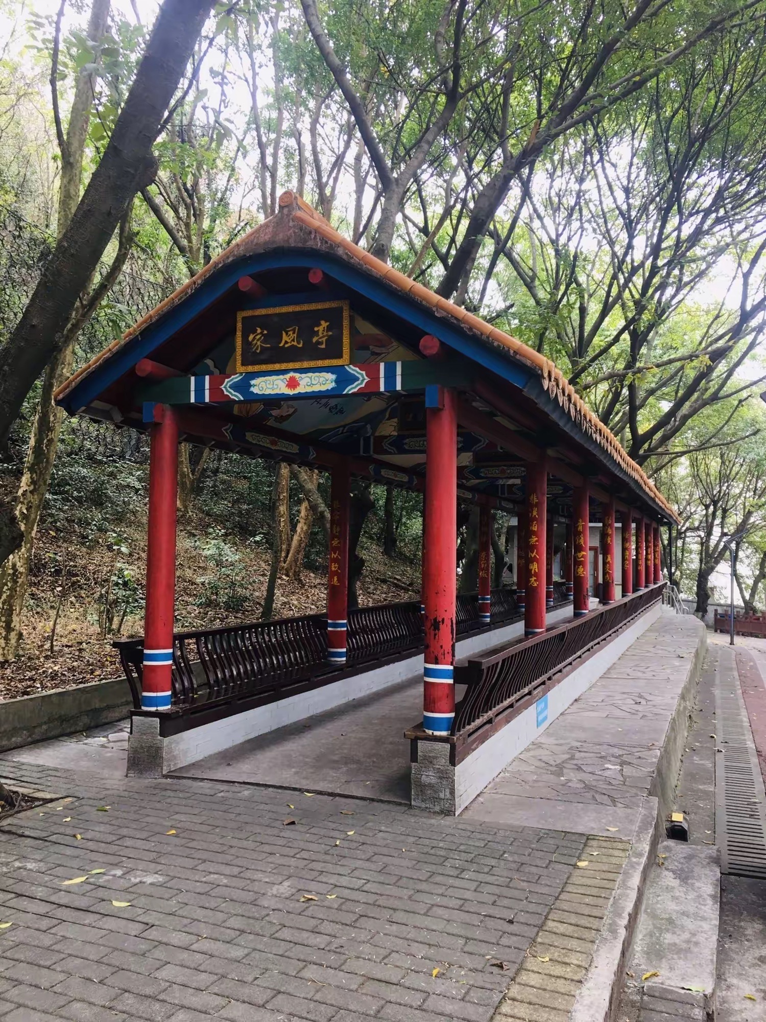 马坝湿地公园旅行图片 2