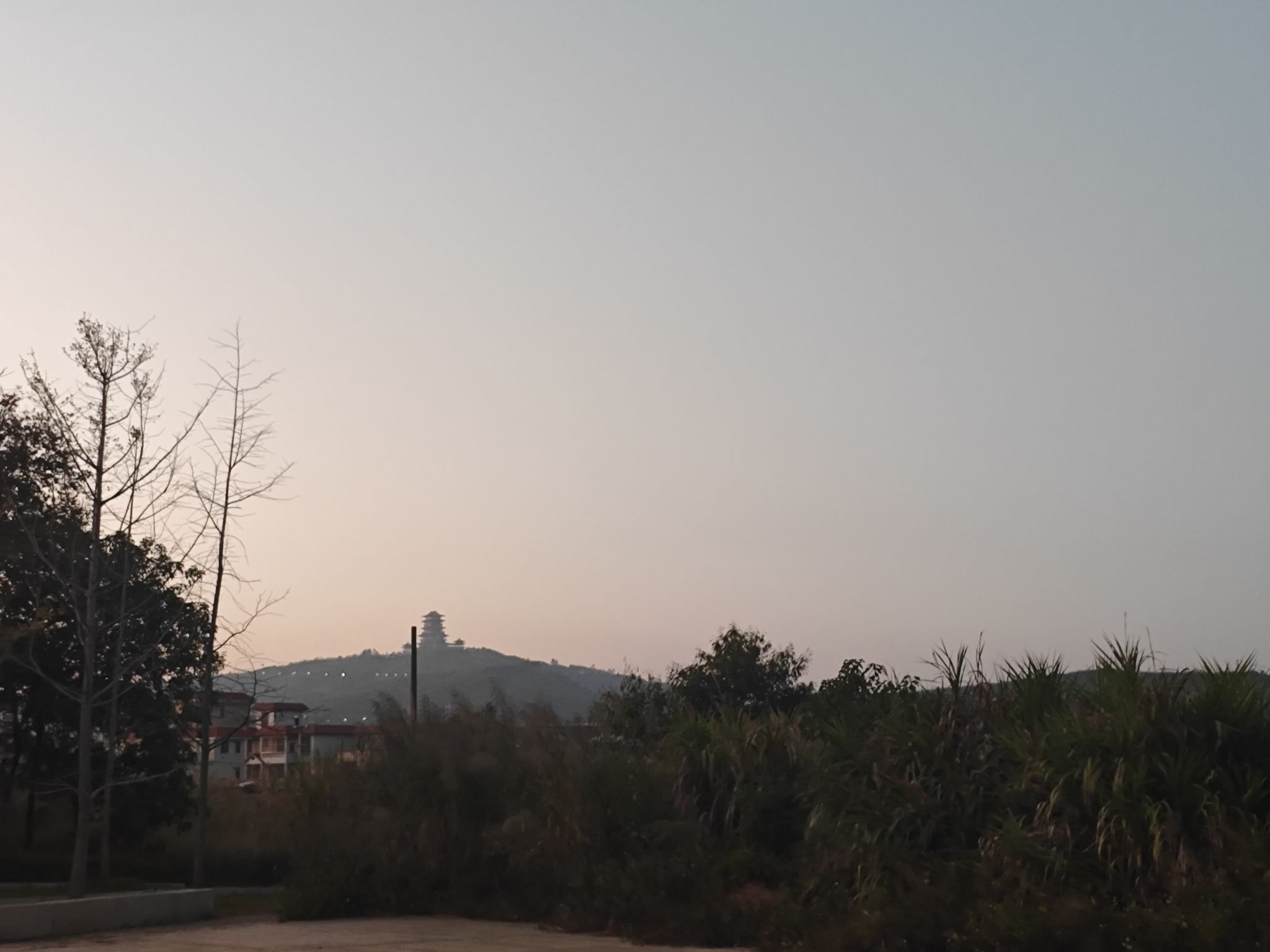 马坝湿地公园旅行图片 1