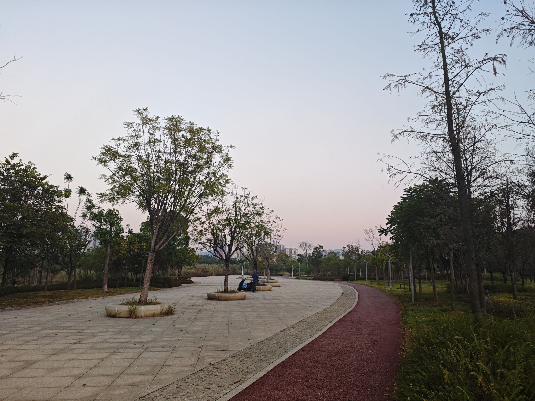 马坝湿地公园旅行图片 3
