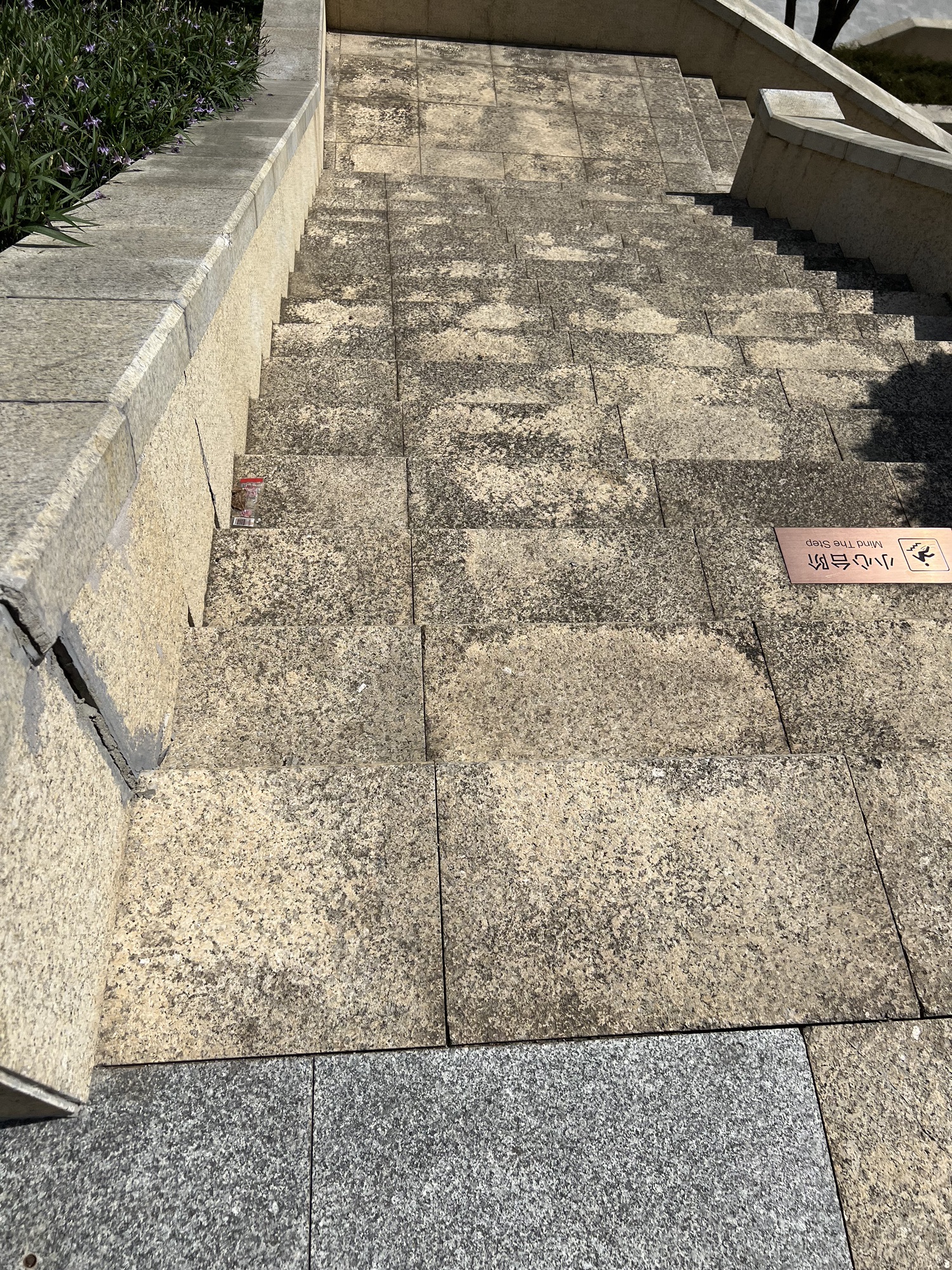 相国寺滨江公园旅行图片 2