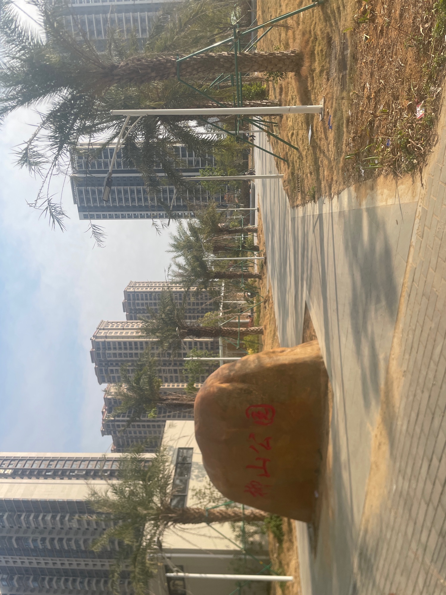 柳山公园旅行图片 1